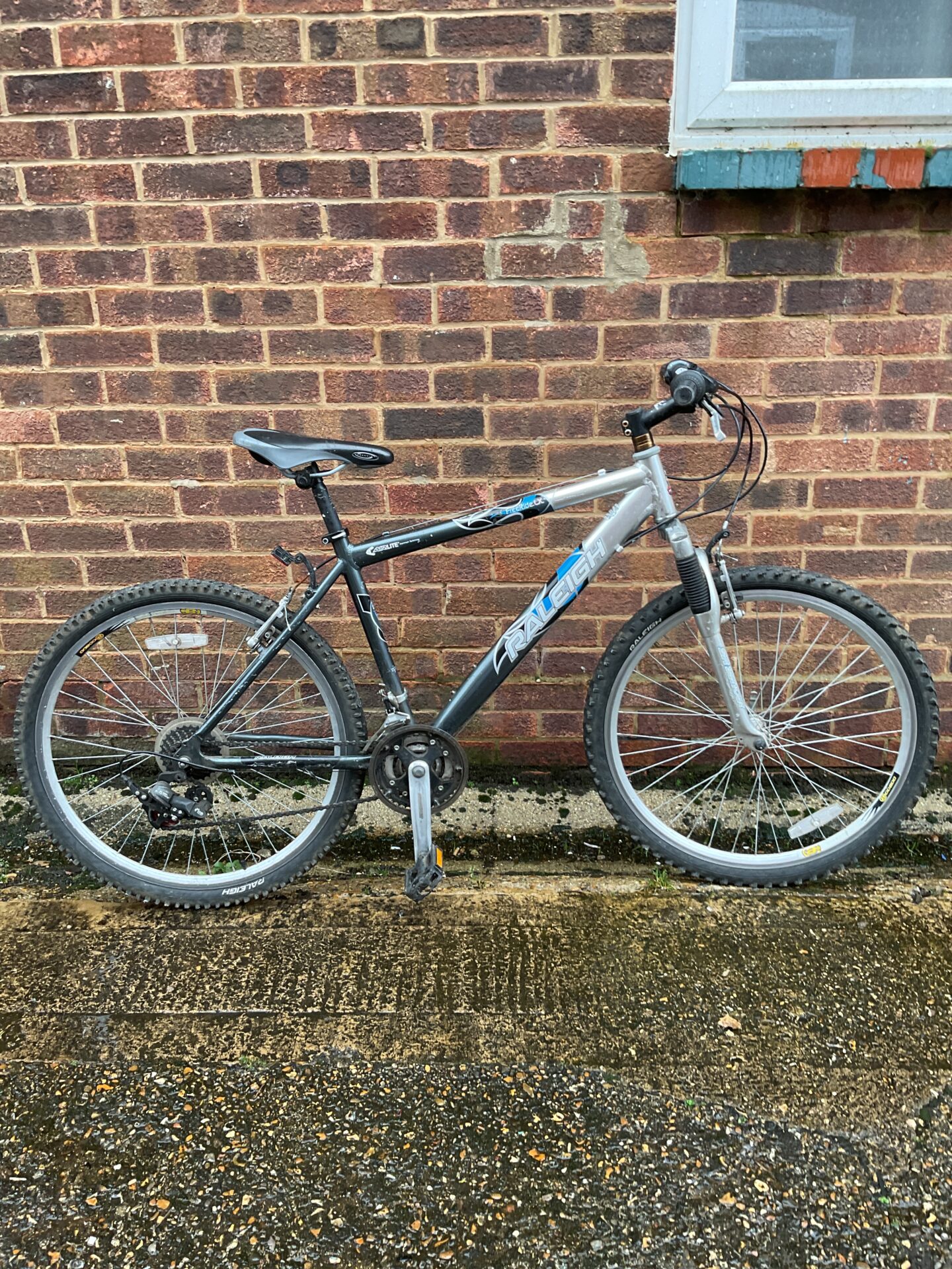 Raleigh freeride best sale