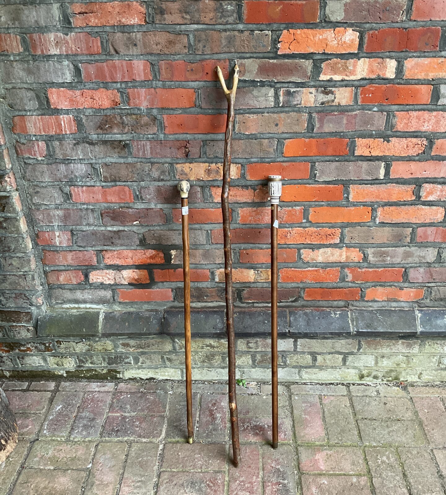 685 three walking sticks including badge & stagg topped sticks ...