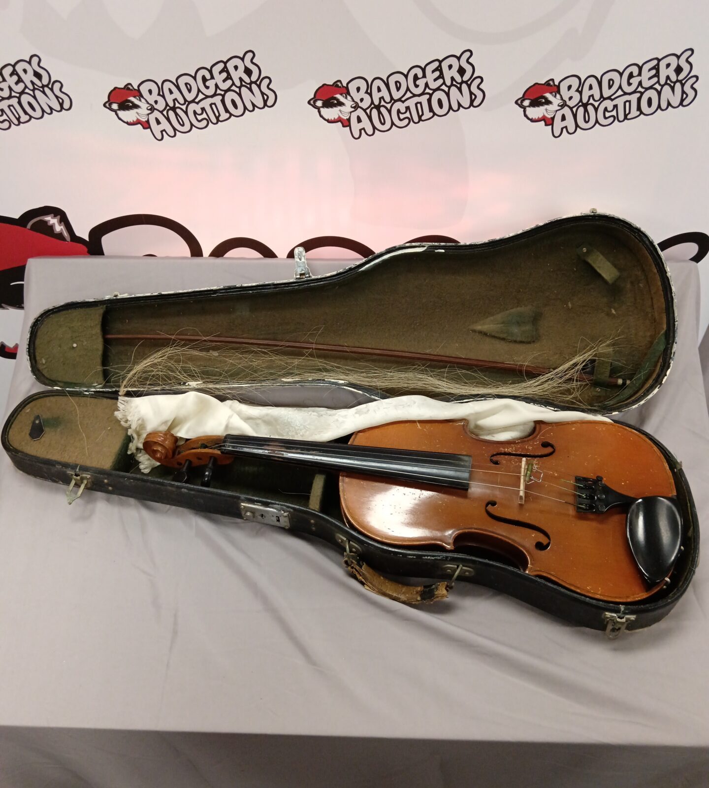 Skylark brand violin in case