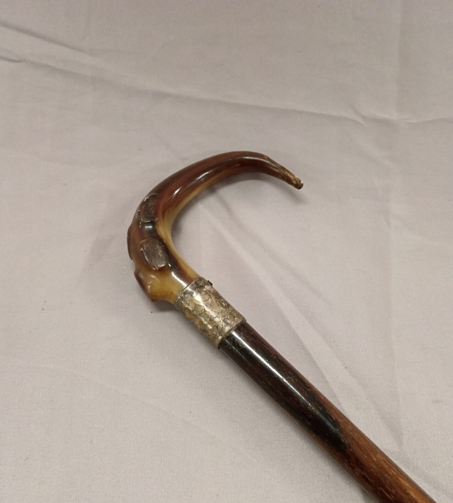 Antique horn handled walking stick with silver cuff