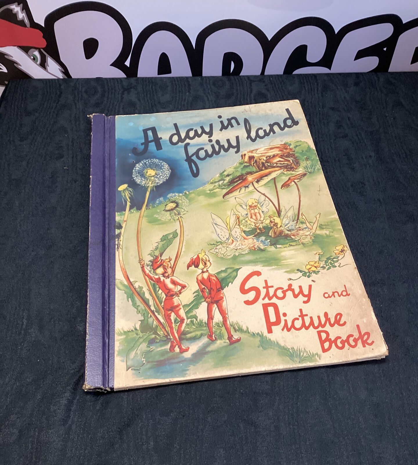 Large story & picture book of a day in fairy land