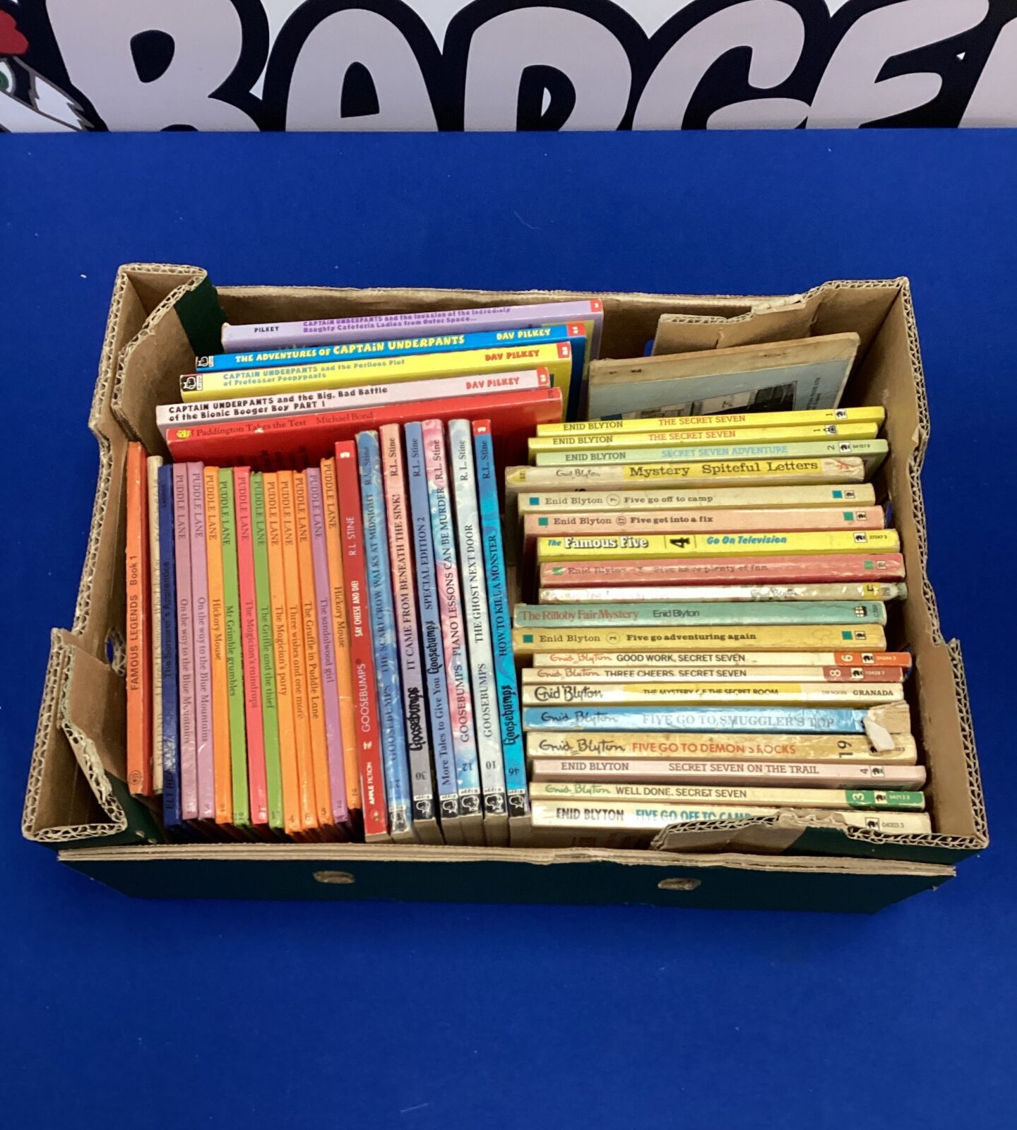 Collecting of childrens books inc enid blyton, goosebumps & puddlelane