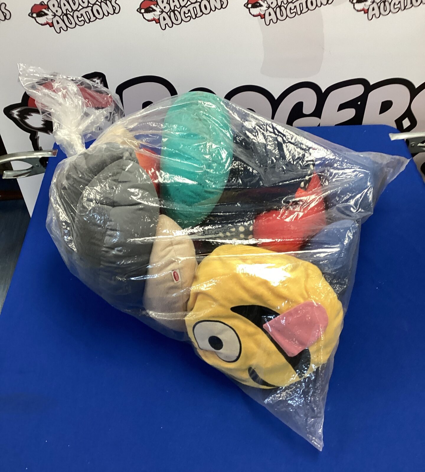 Bag of neck cushions