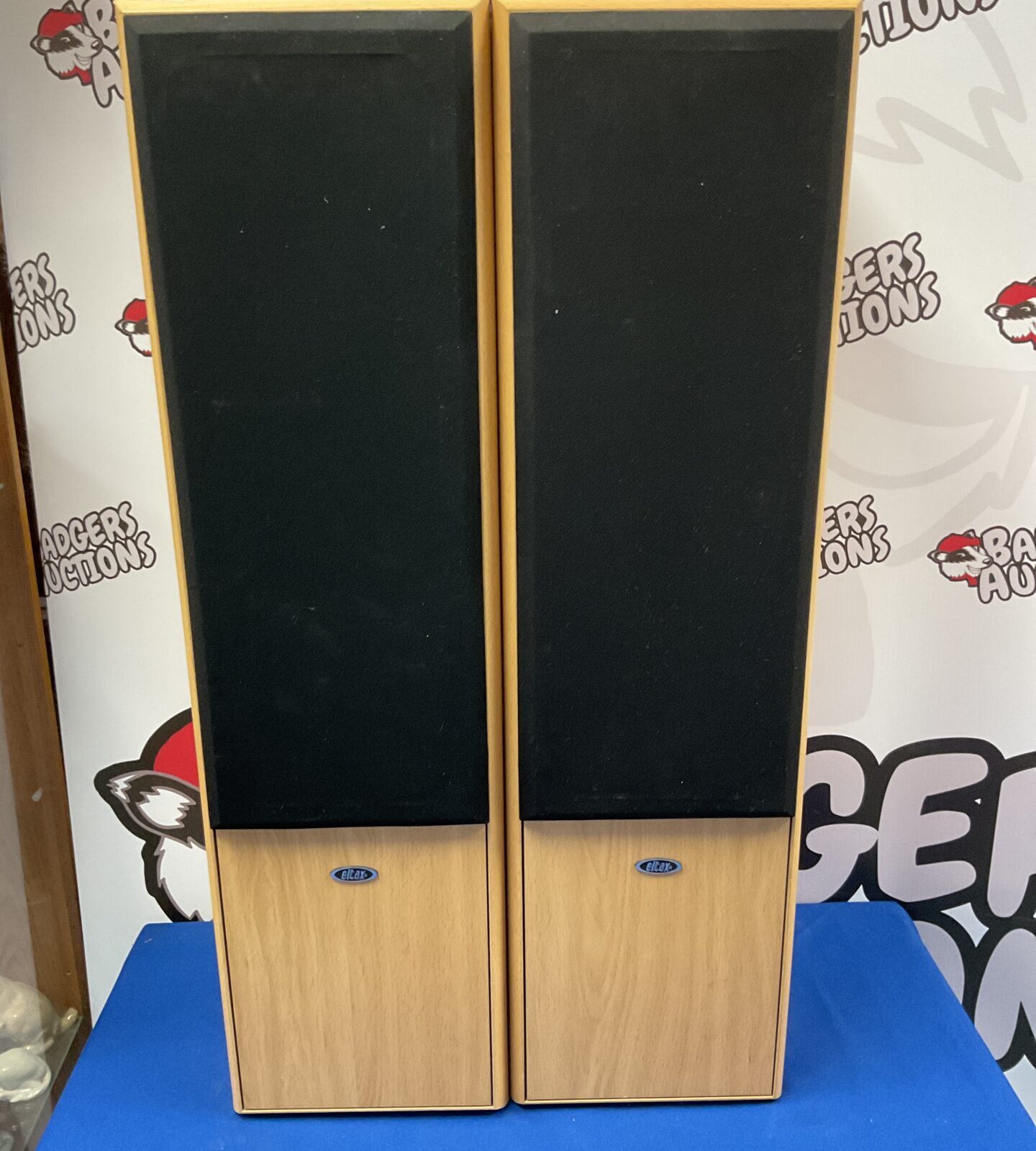 Pair of Eltax floor standing speakers