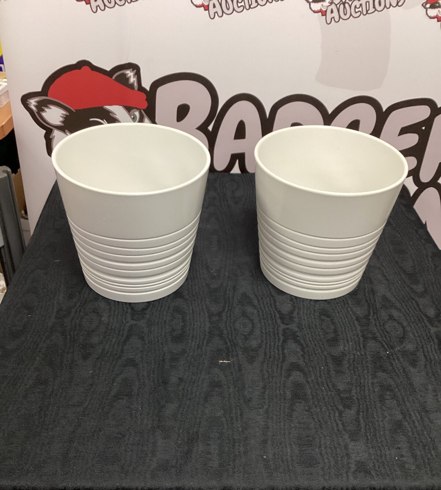 Two White Flower pots