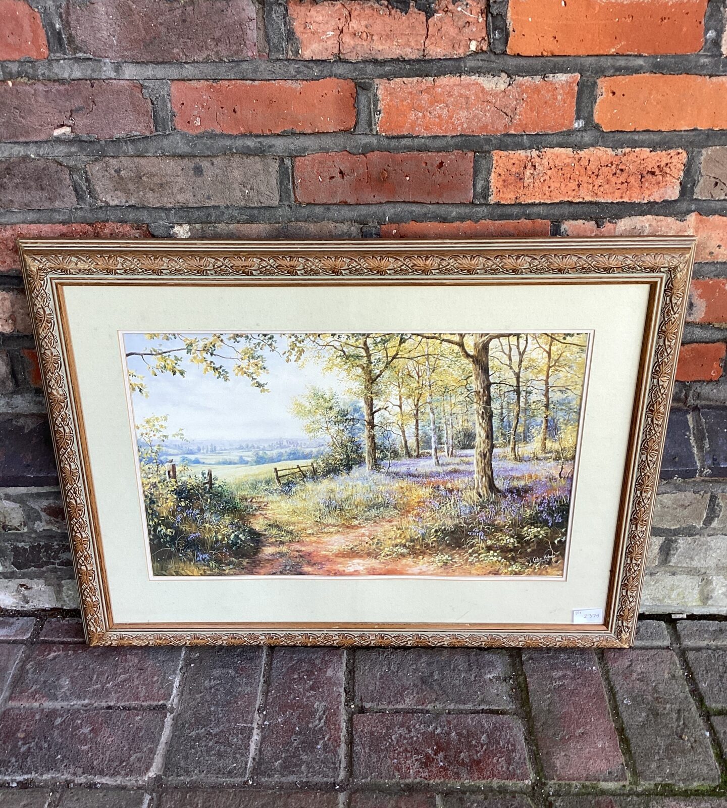 Colin vokes print of a summer woodland scene