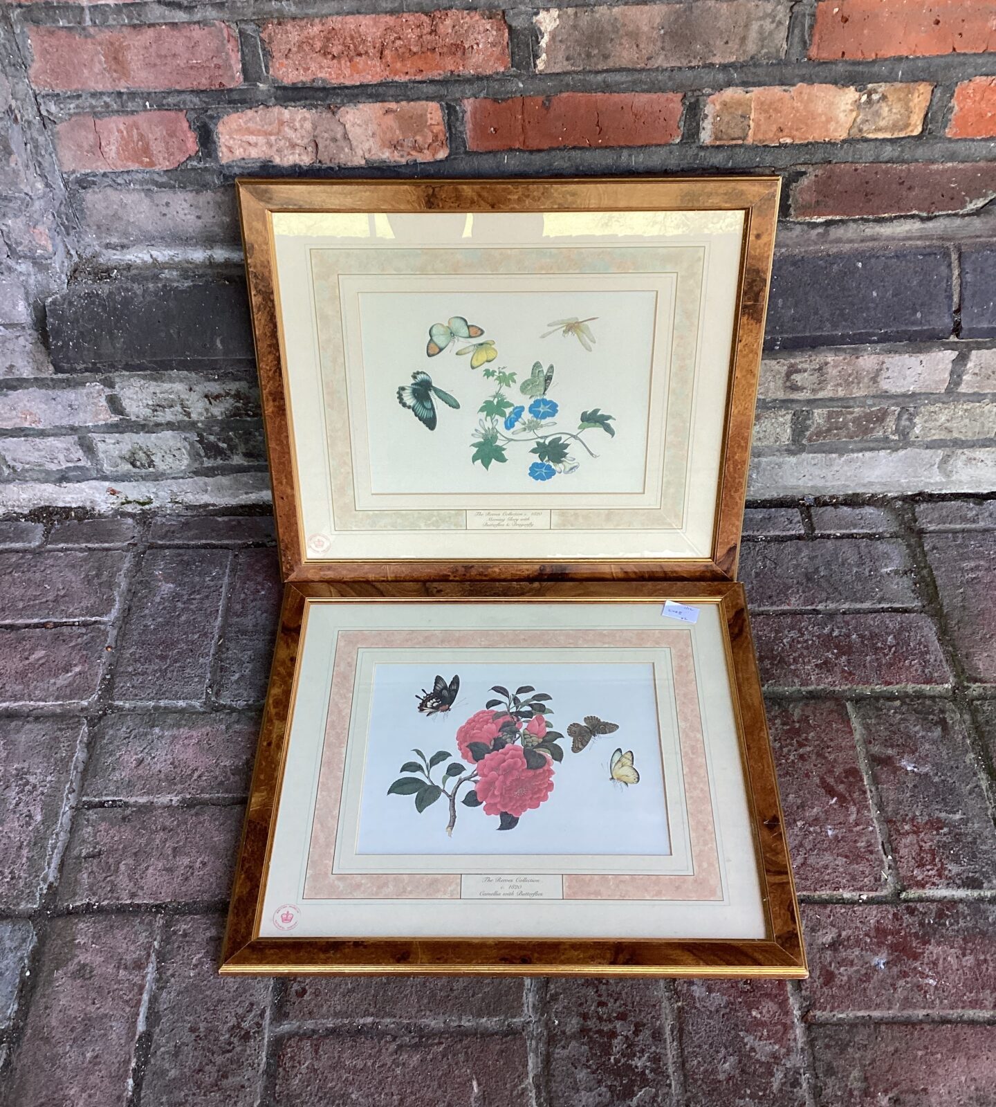 Pair of the reeves collection butterfly & flowers prints