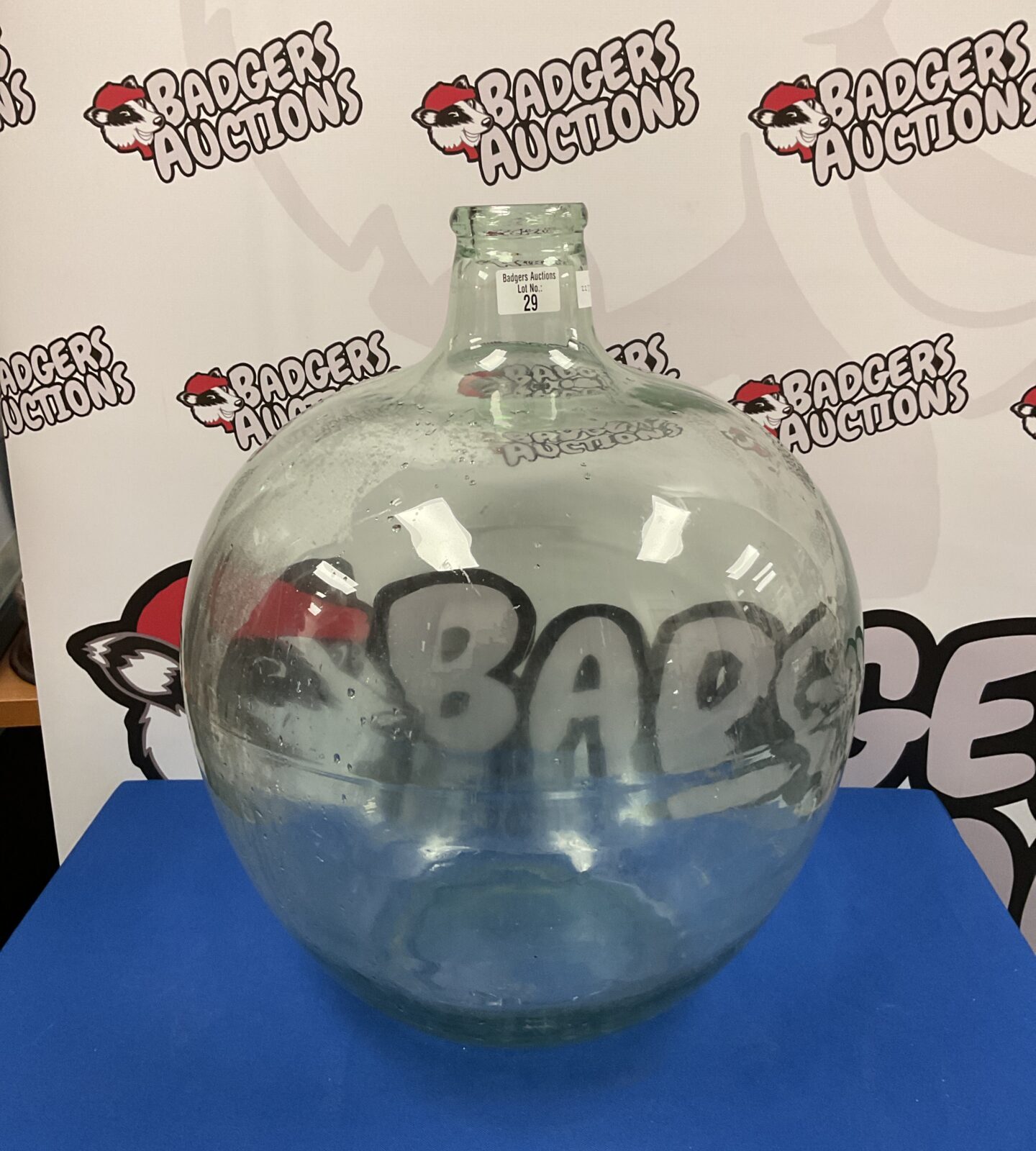 Large glass carboy vivarium