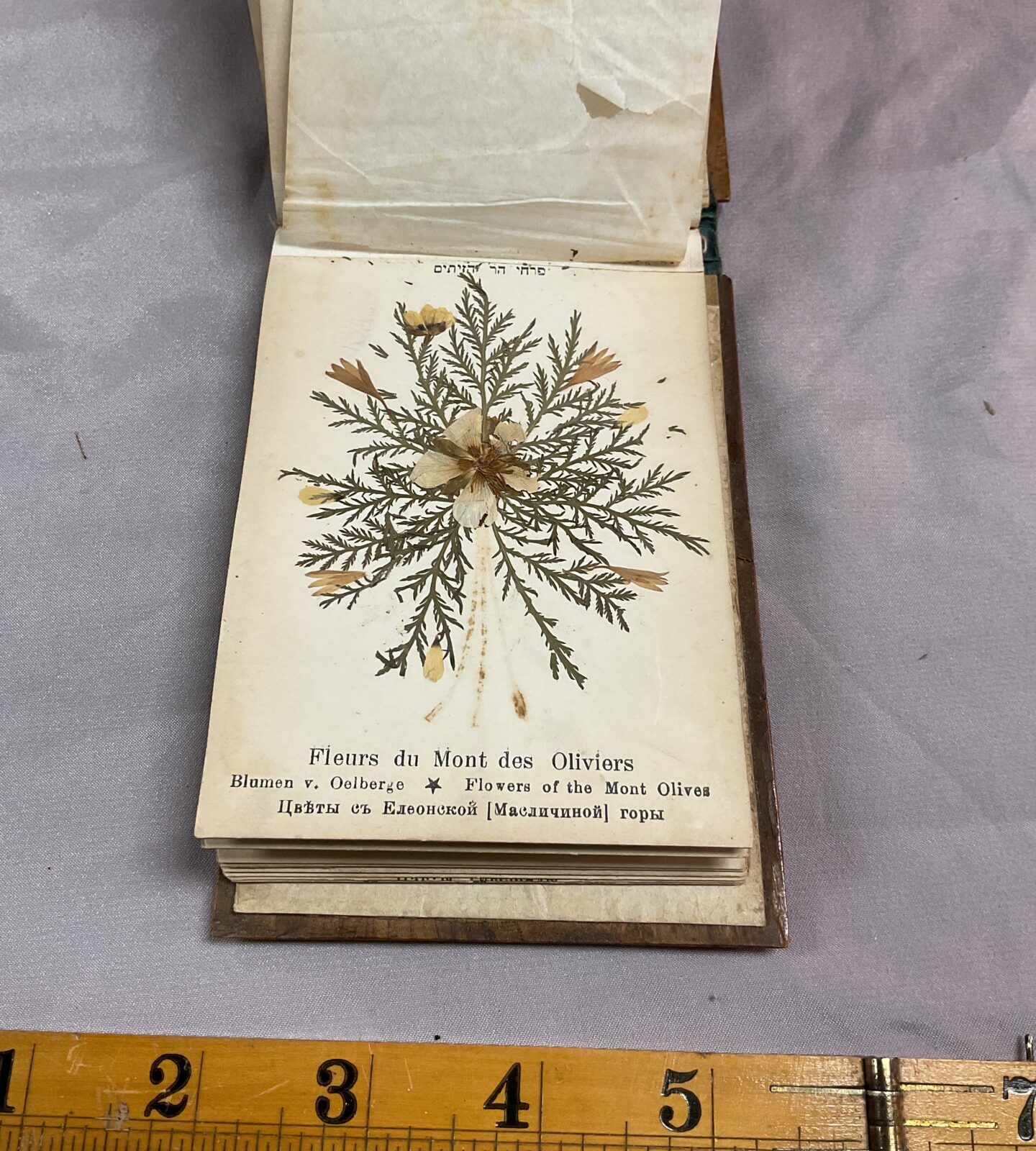 Book of pressed flowers from the holy land Jerusalem