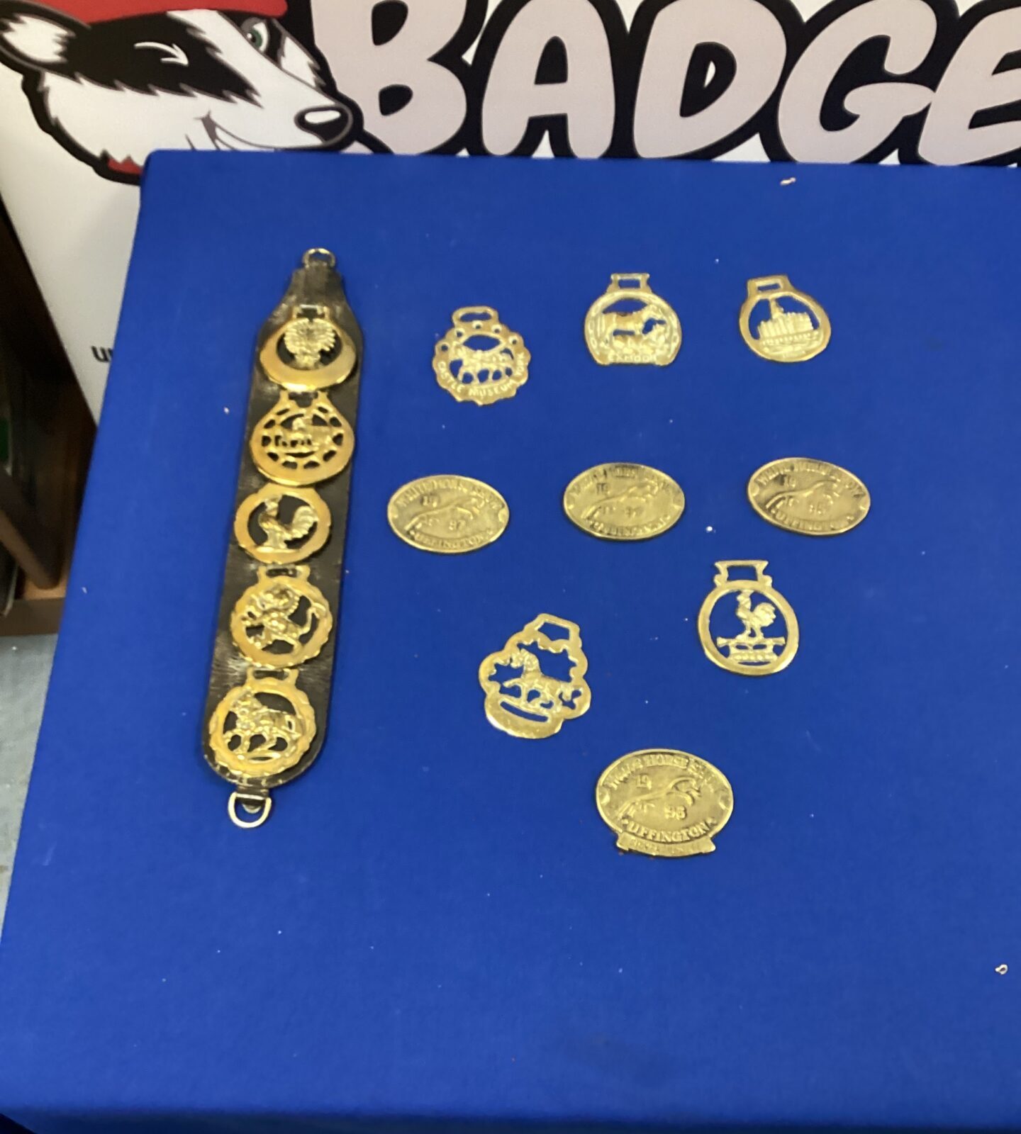 Selection of horse brasses