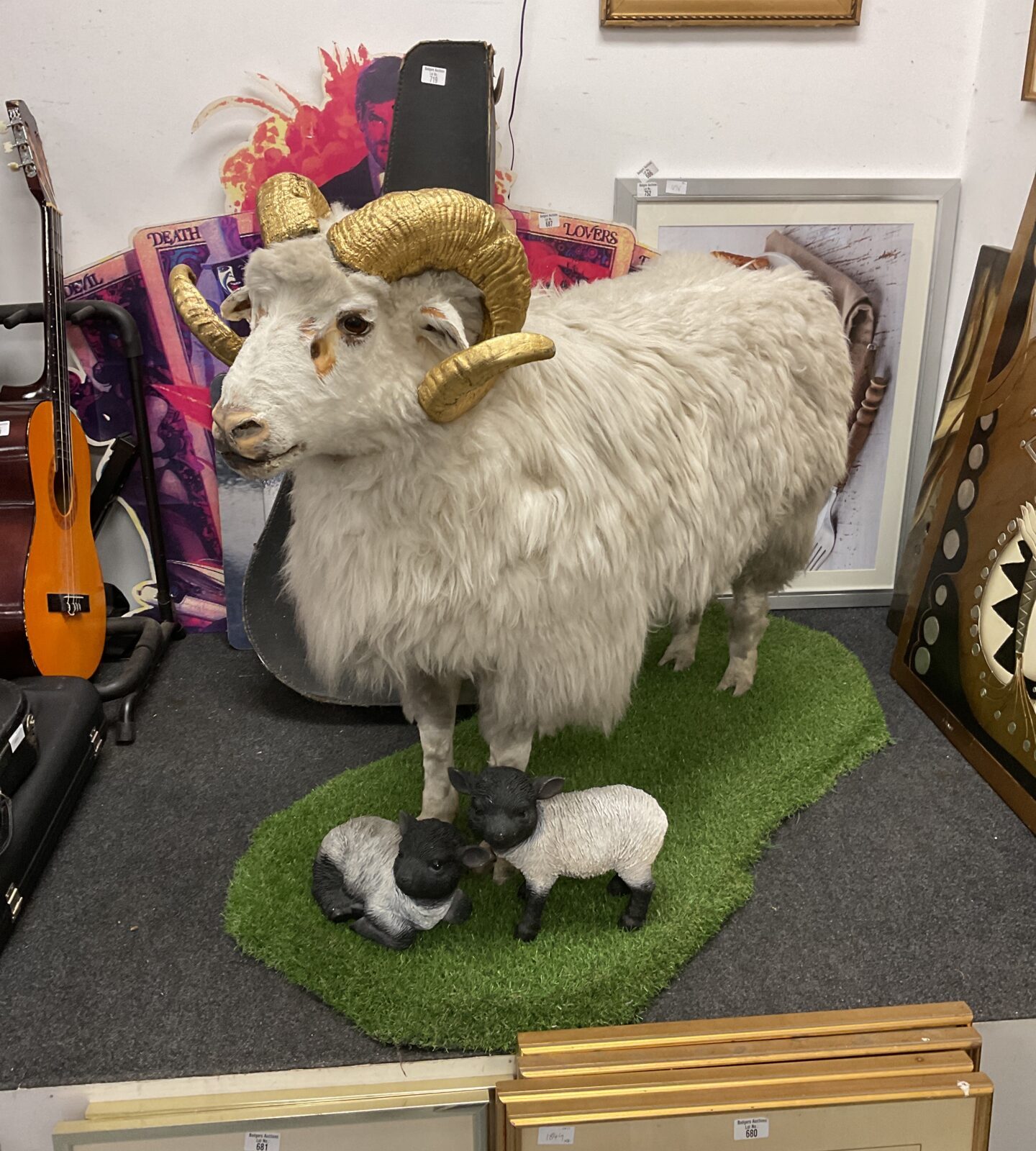 Taxidermy ram with golden horns