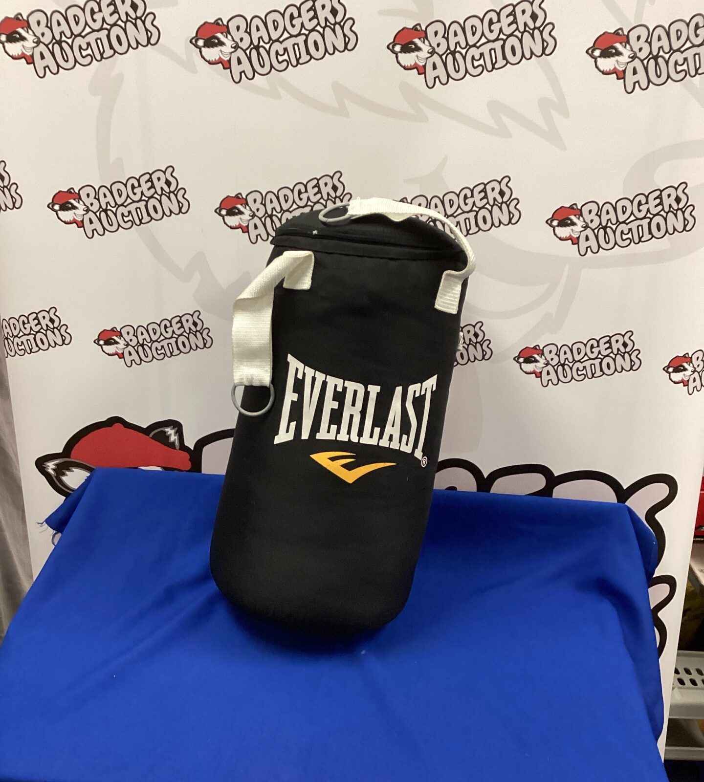 Small Everlast Punch bag