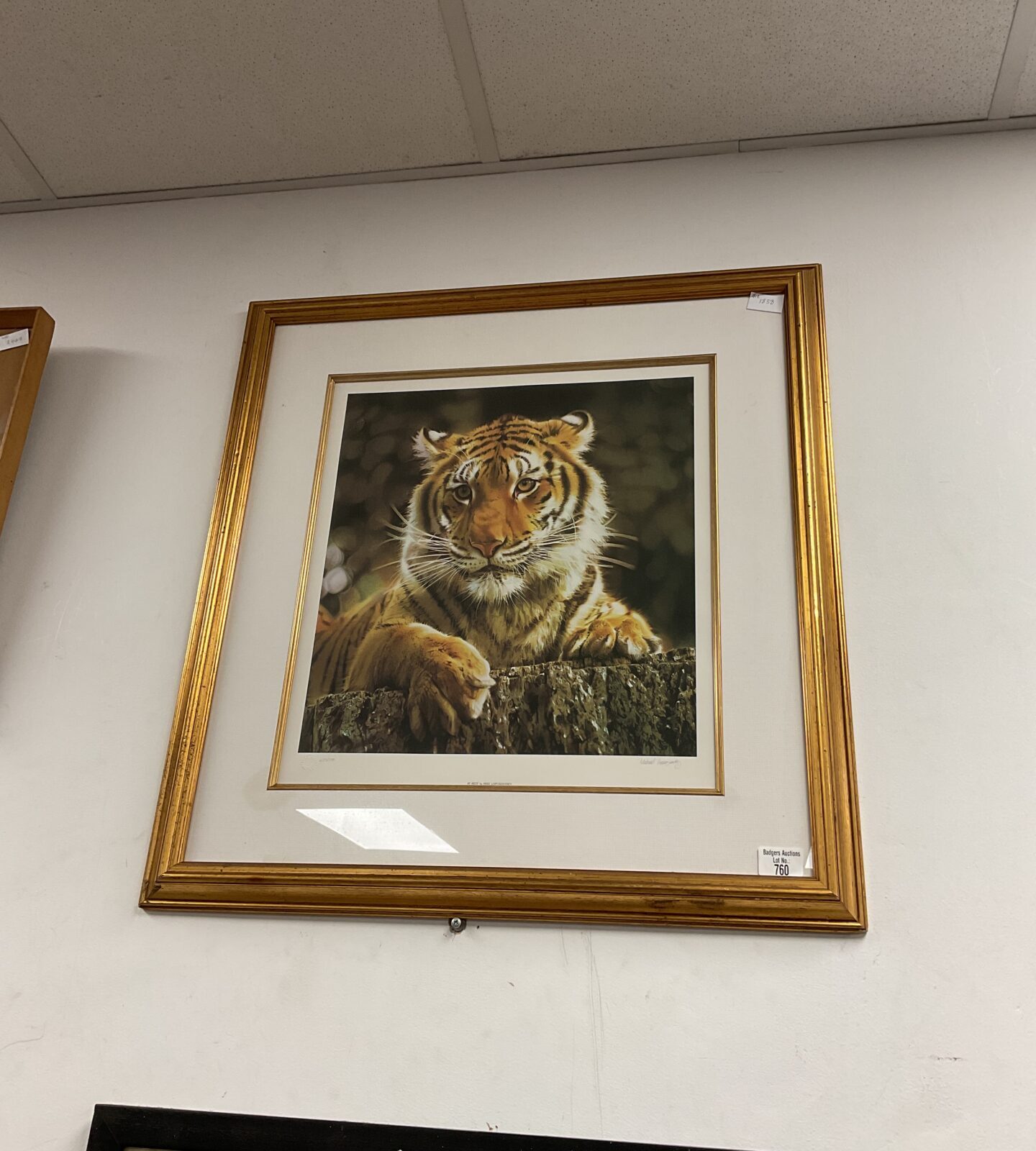 Mike lopuszansky signed limited edition print of a tiger titled at rest