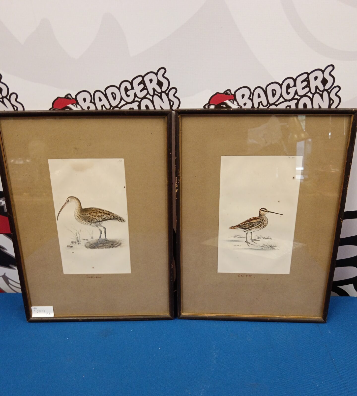 Two framed artworks of curlew & snipe birds