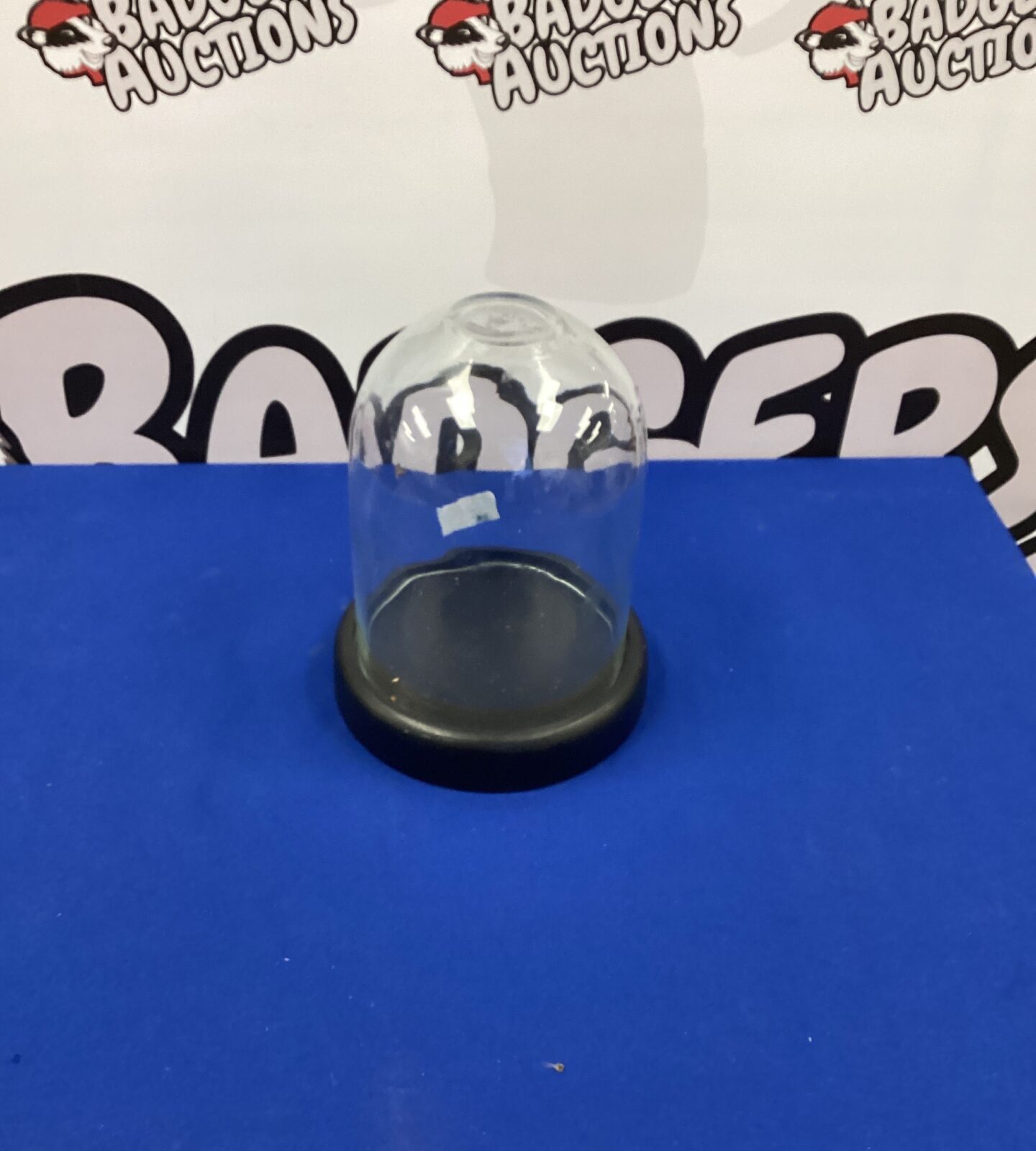 Glass Display Dome 10” High
