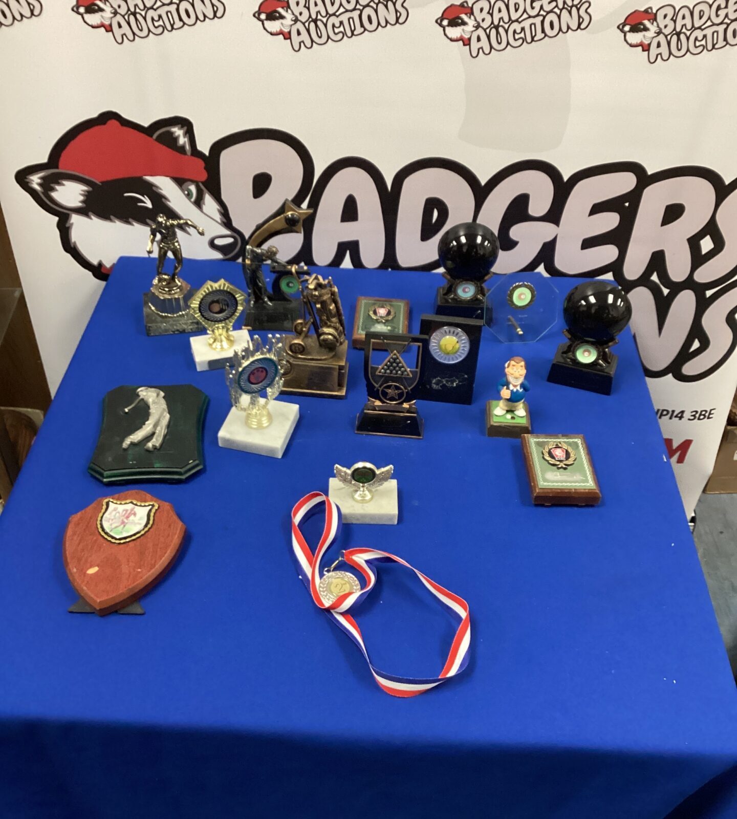 Selection of sporting trophies and medals