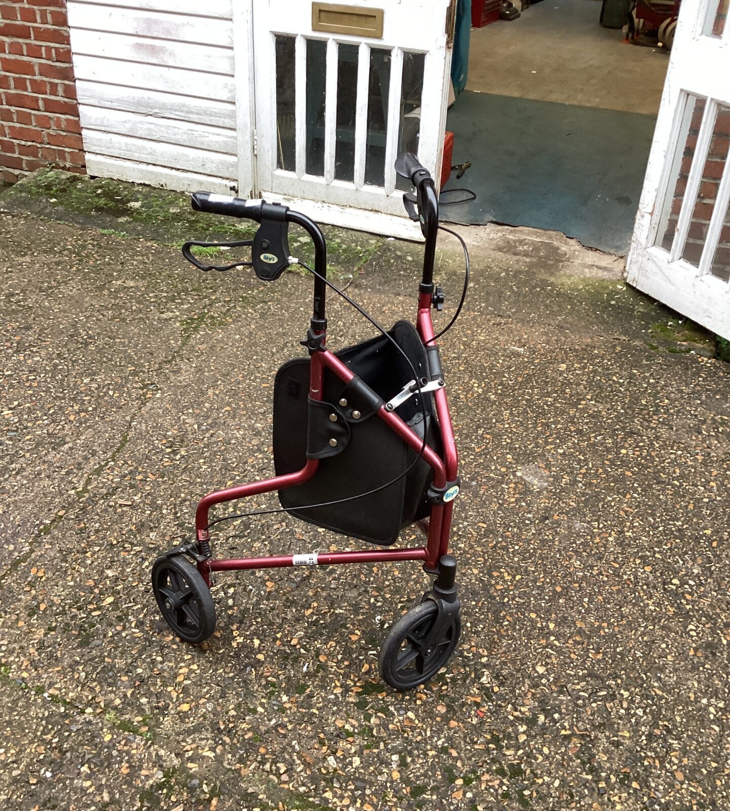 Days walking assistance trolley