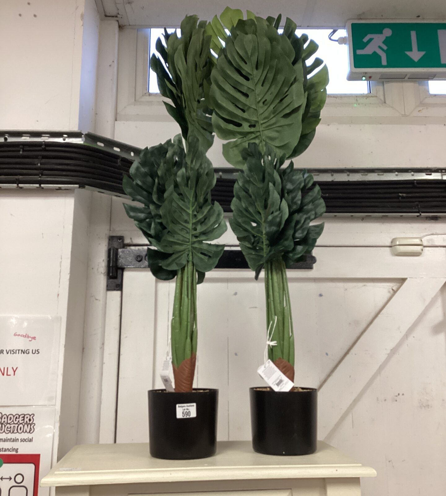 Two large artificial cheese plants in pots