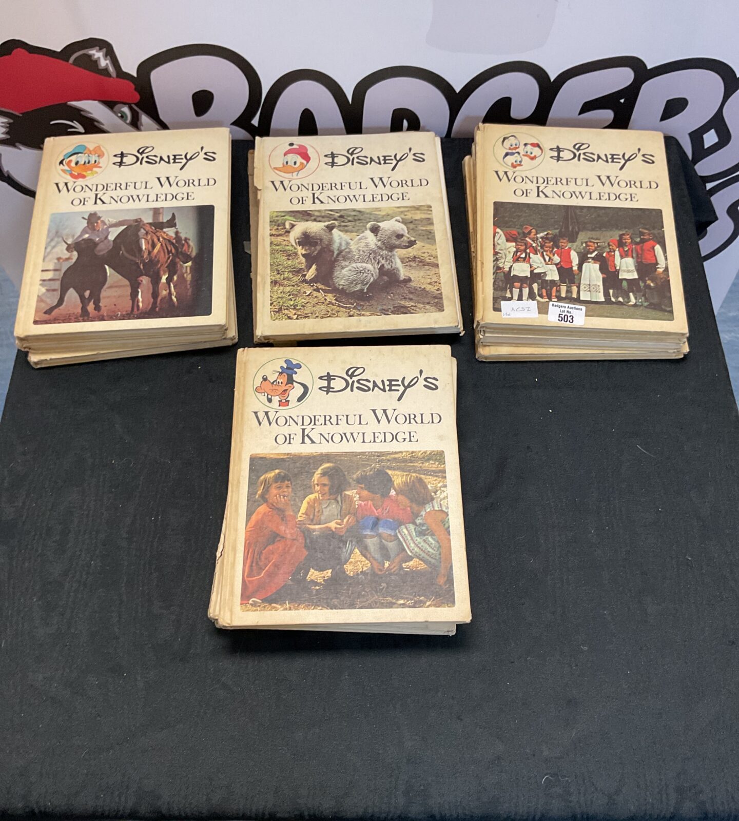 Selection of disneys wonderful world of knowledge books