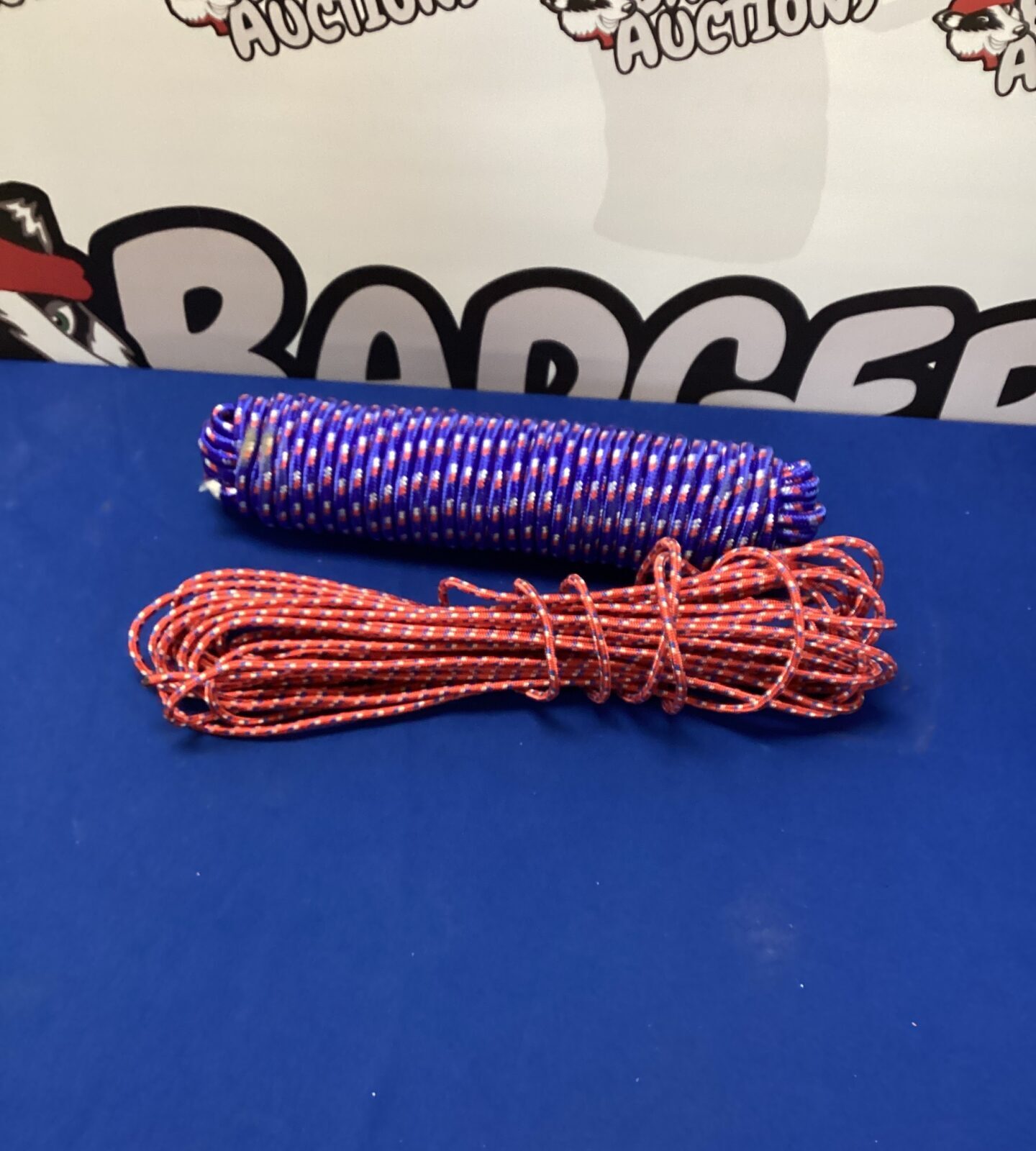 Two Nylon Ropes