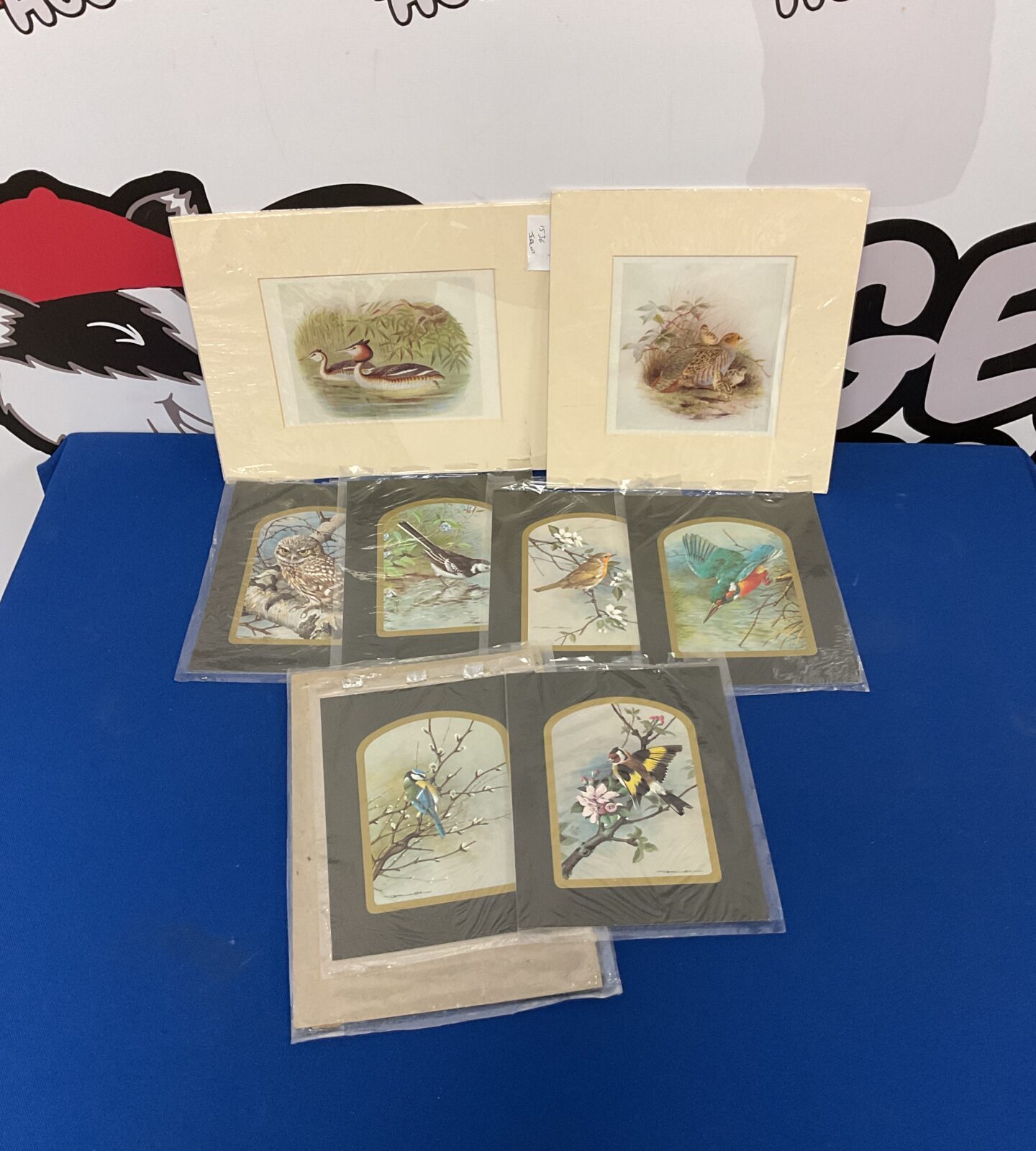 Collection of basil ede bird prints