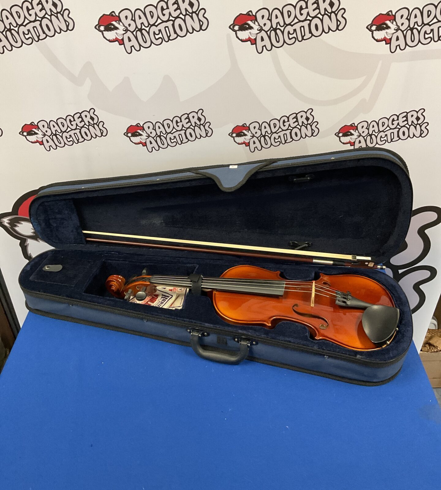 Skylark 4/4 violin in case with bow