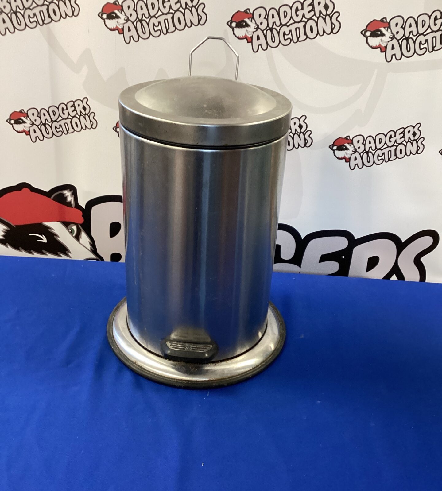 Small stainless steel kitchen peddle bin