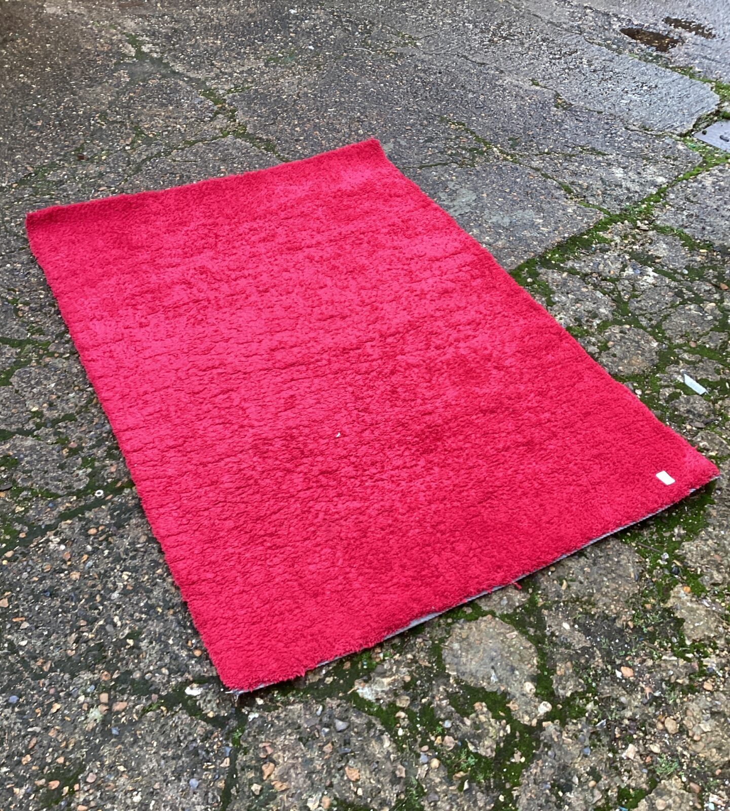 Red shag pile rug