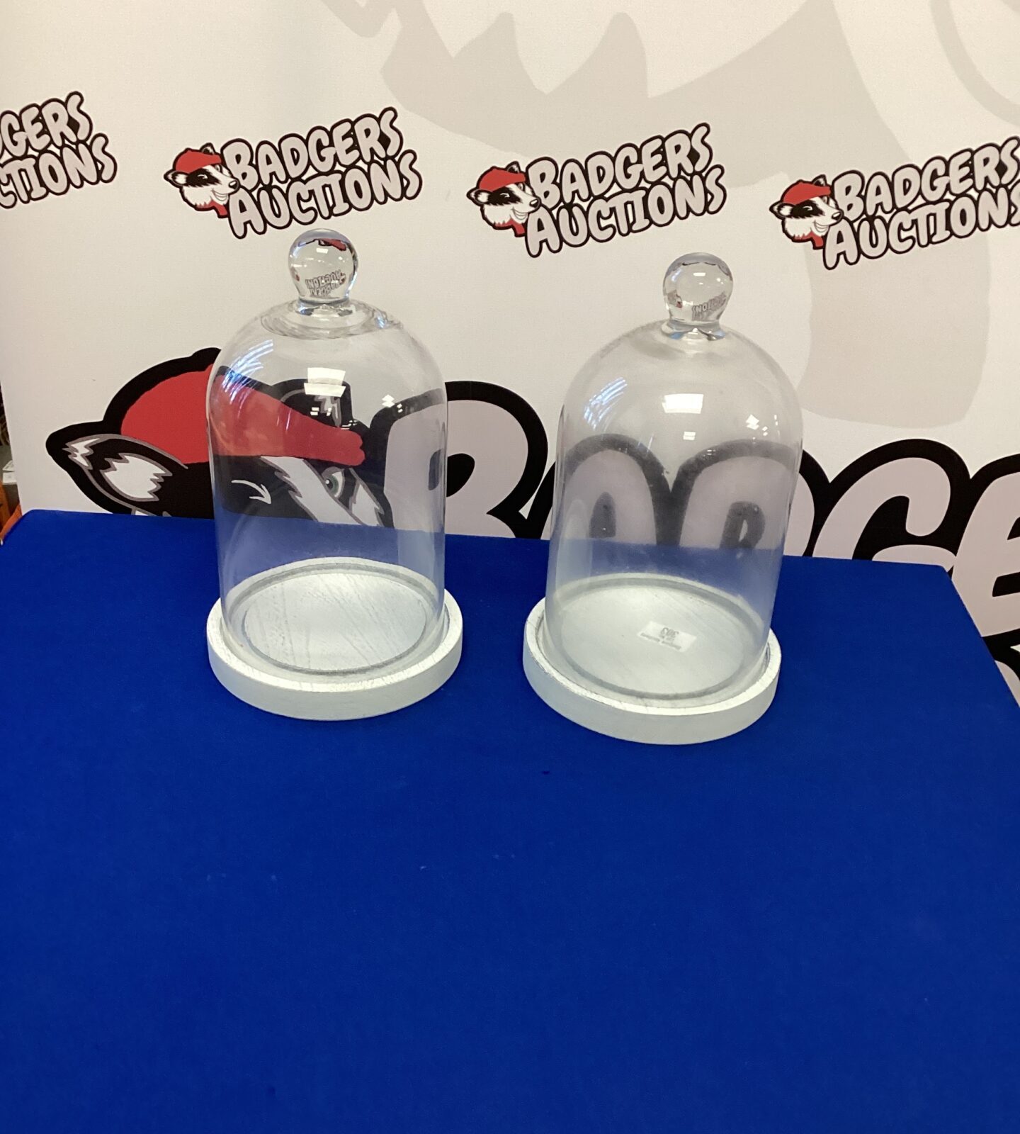 Two Glass Display Domes with bases