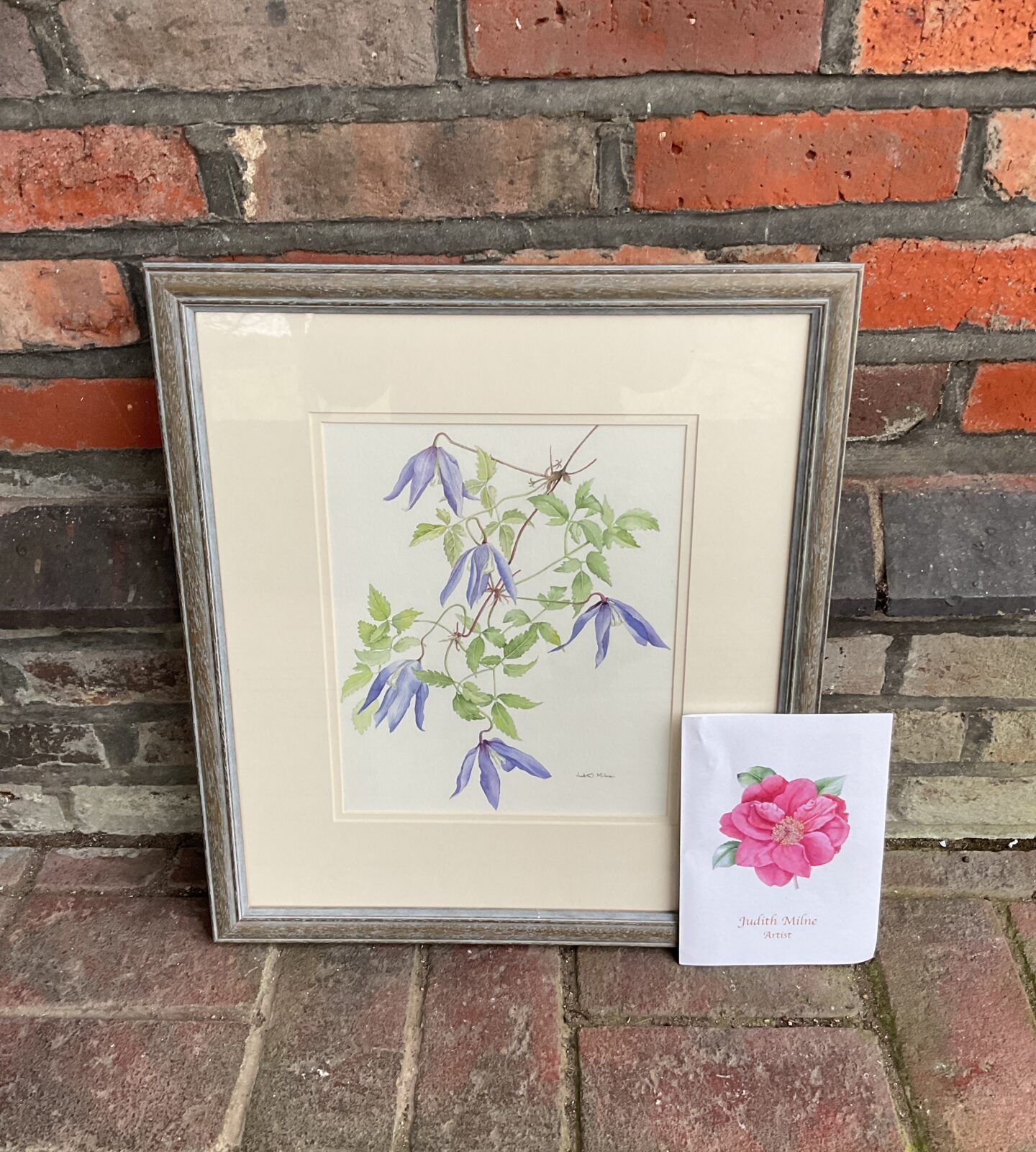 Judith milne original watercolour of clematis alpina frances rivis