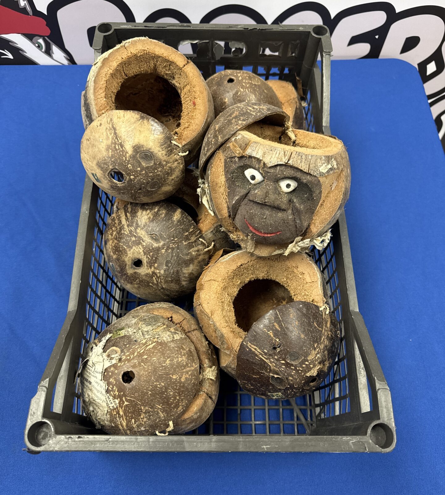 Box of coconut heads from a tiki bar