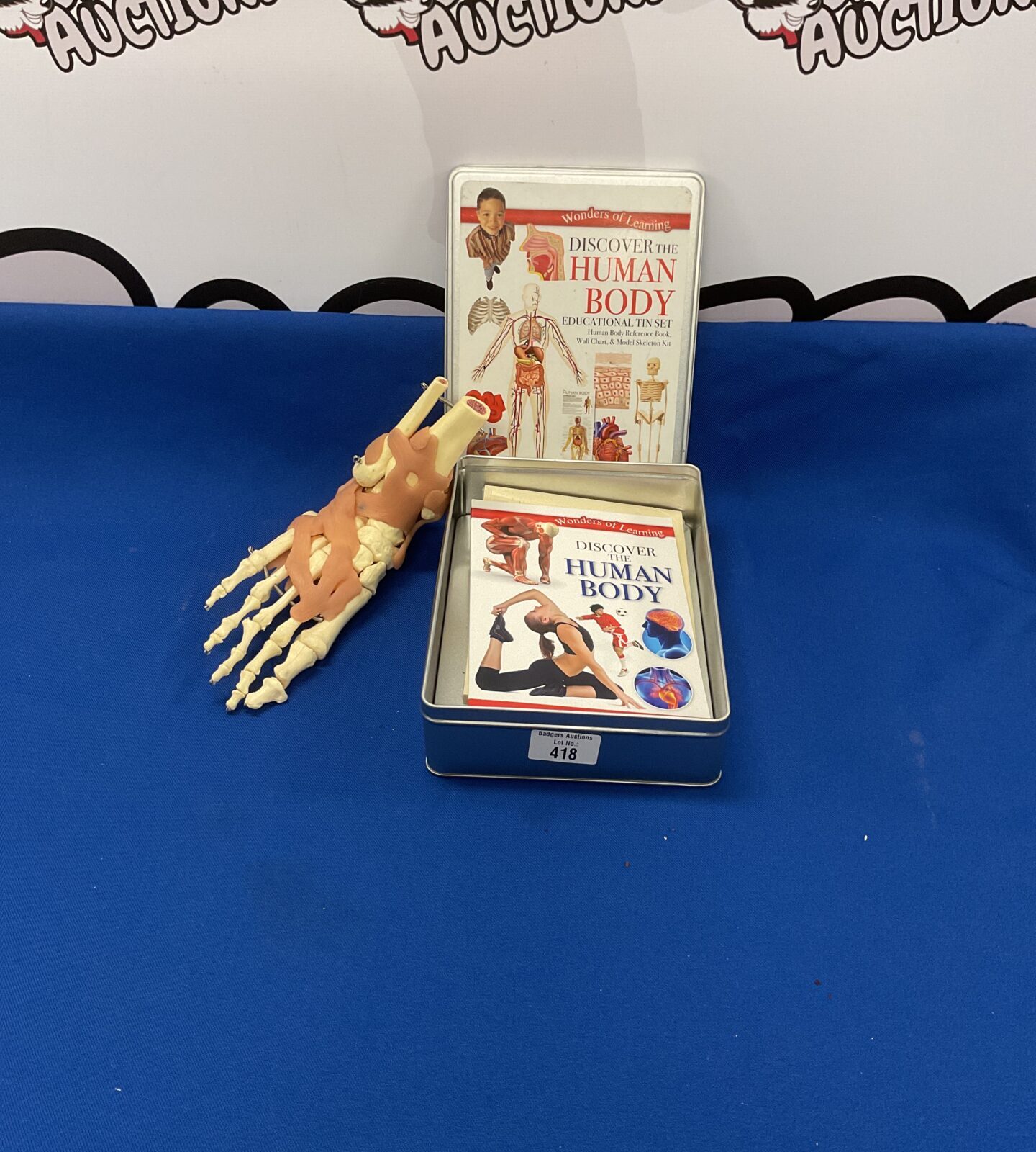 Discover the world human body edition with anatomical model of a foot