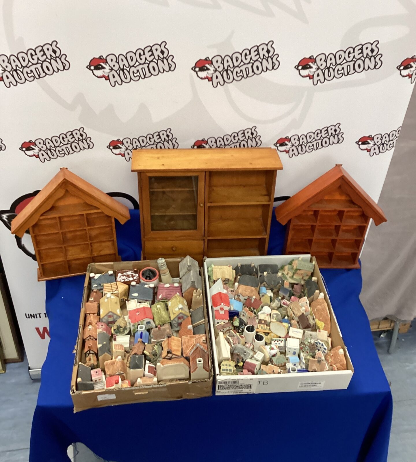 Large quantity of miniature houses and cottages with display cases