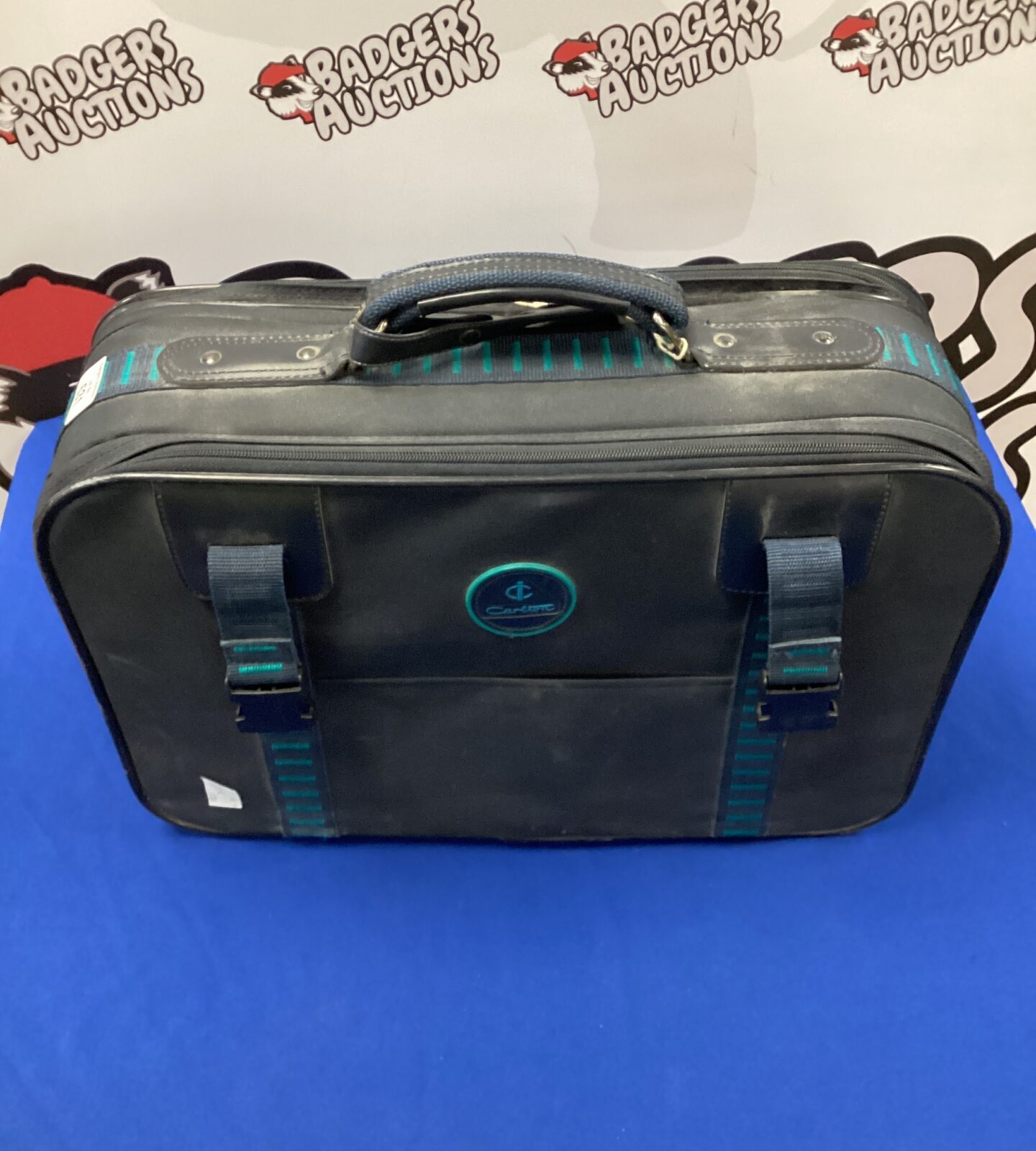 Carlton travel bag