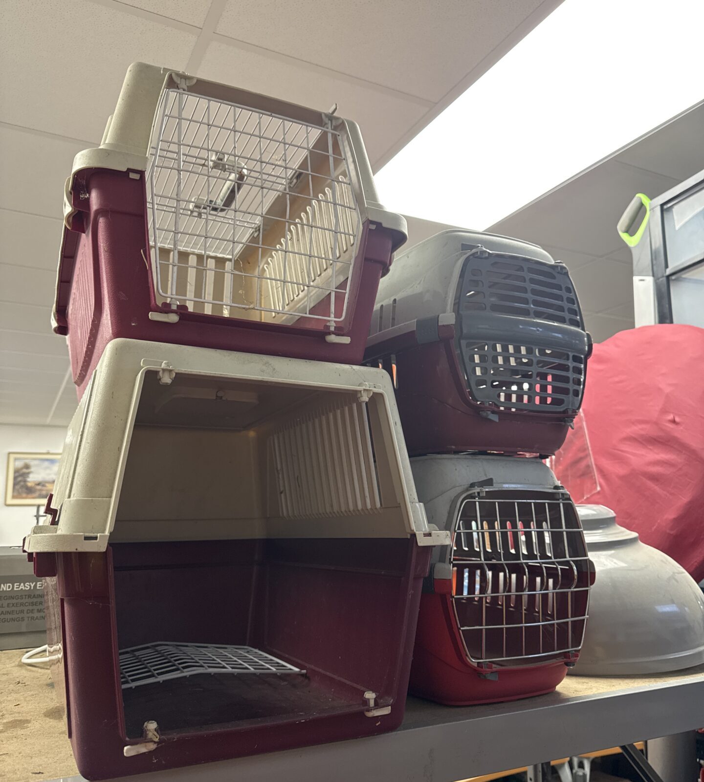 Four small pet transport cases - one missing door