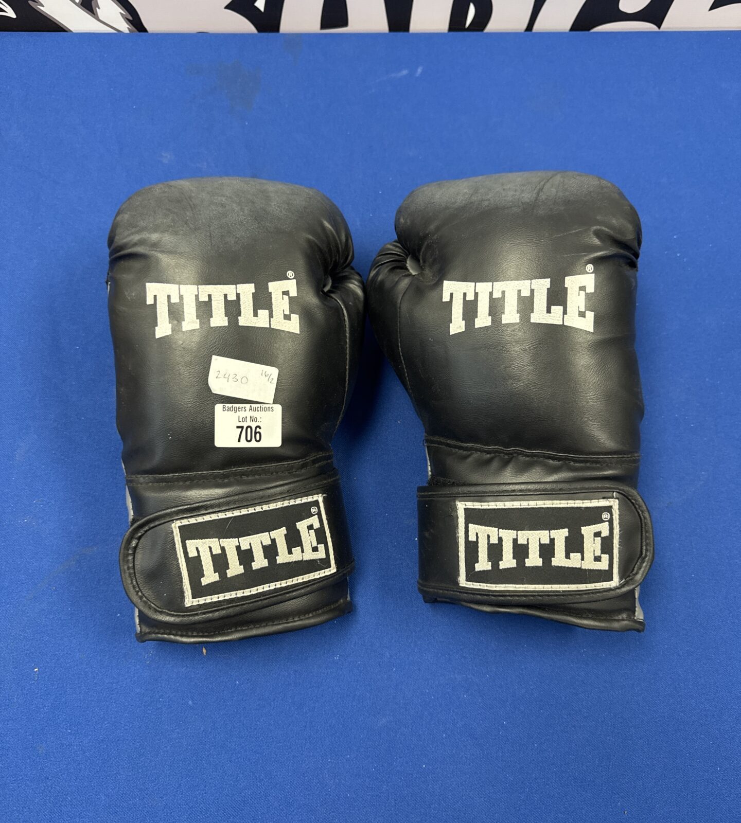 Pair of title boxing gloves