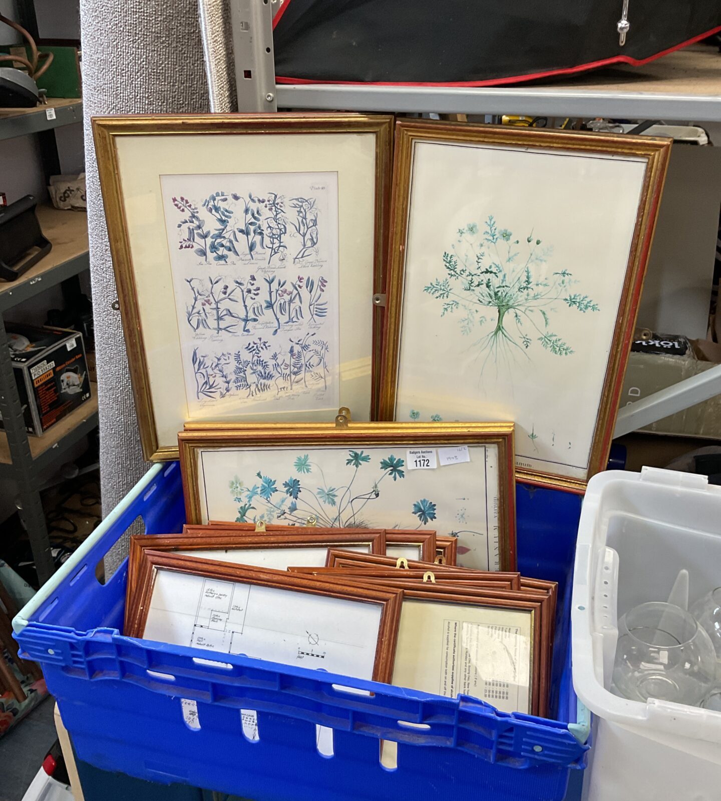 Box of gilt framed horticultural prints & others