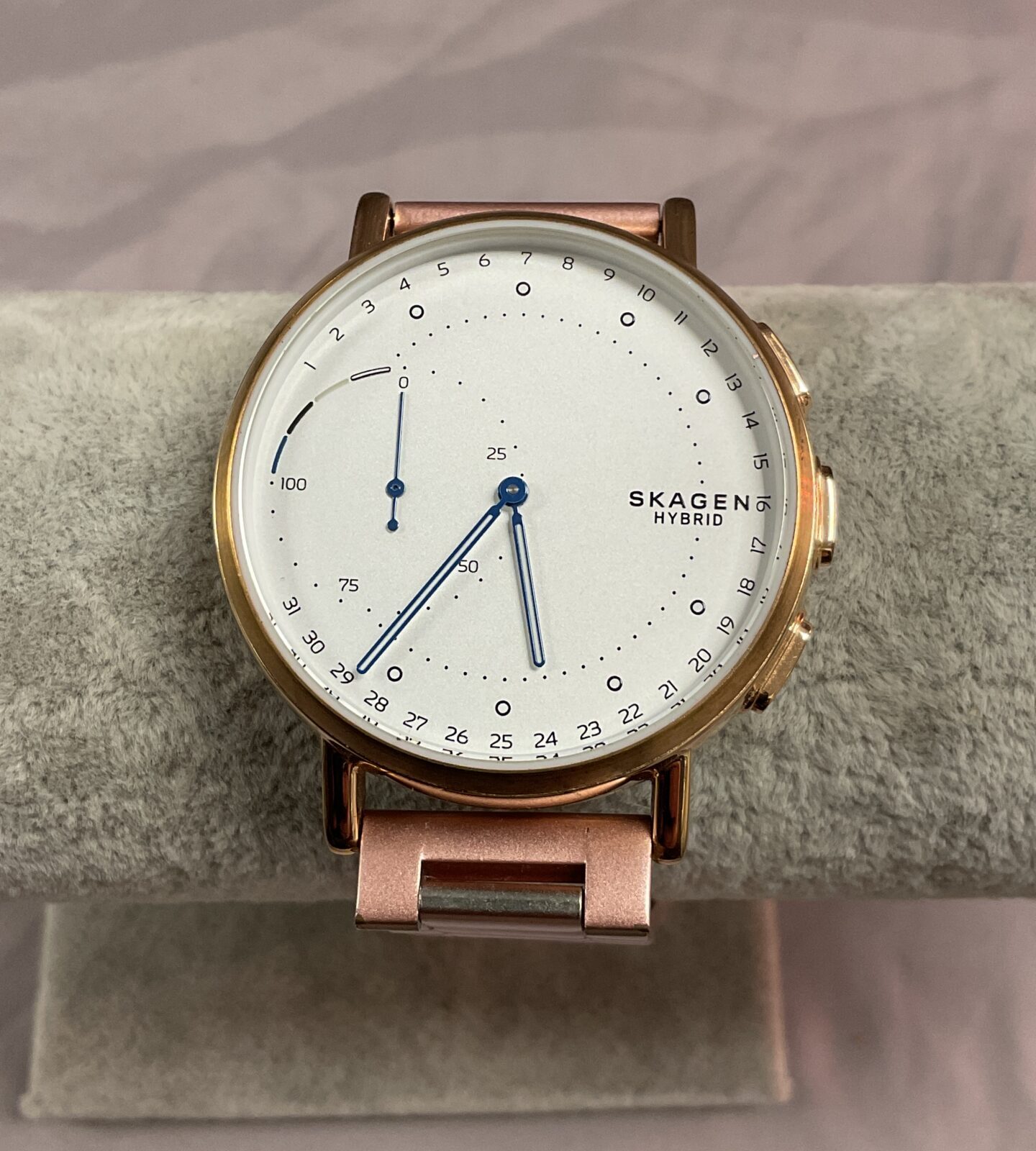 Skagen hybrid Smart watch