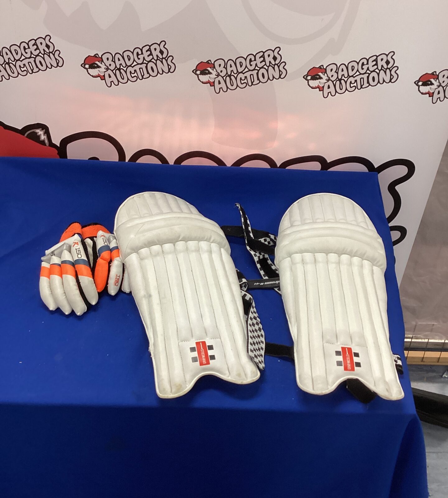 Pair  of junior cricket pads with gloves