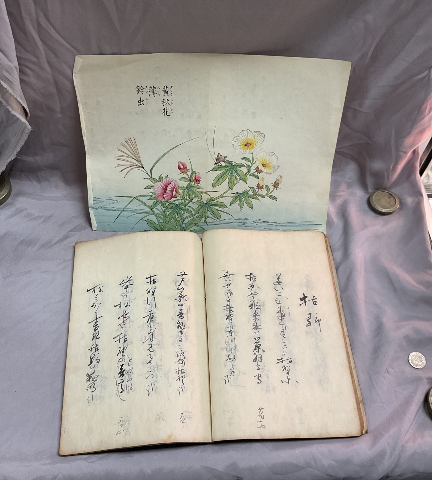 antique oriental scripture book & acompanying japanese watercolour of mayfly on flowers