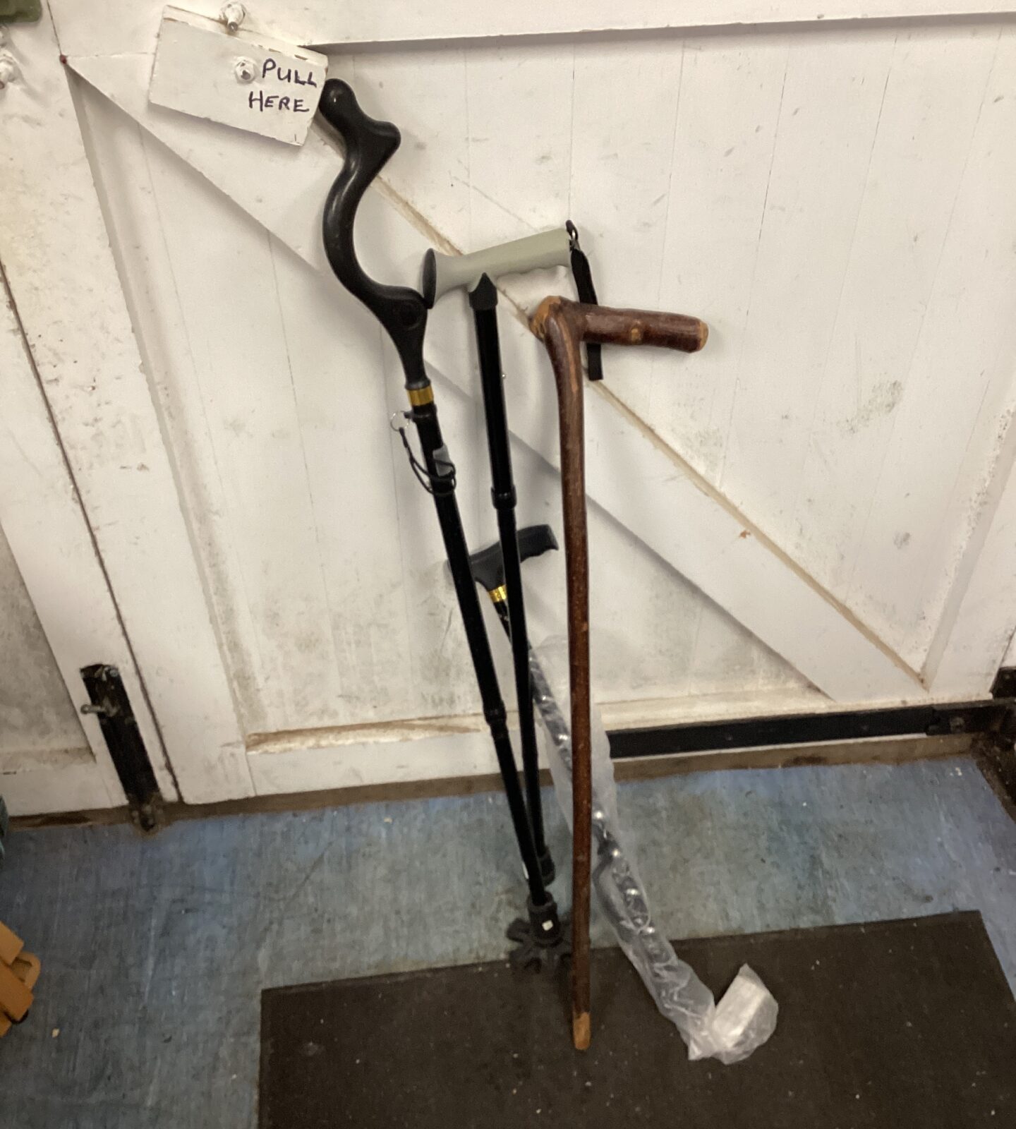 Four walking sticks