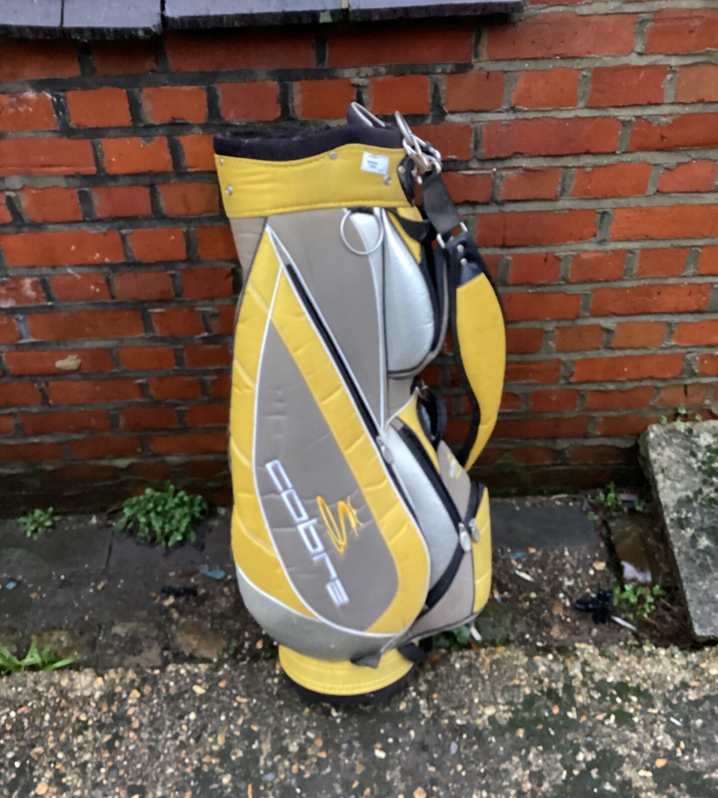 Cobra golf bag