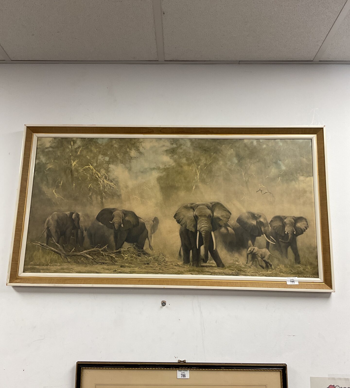 Large david shepherd print of a heard of elephants