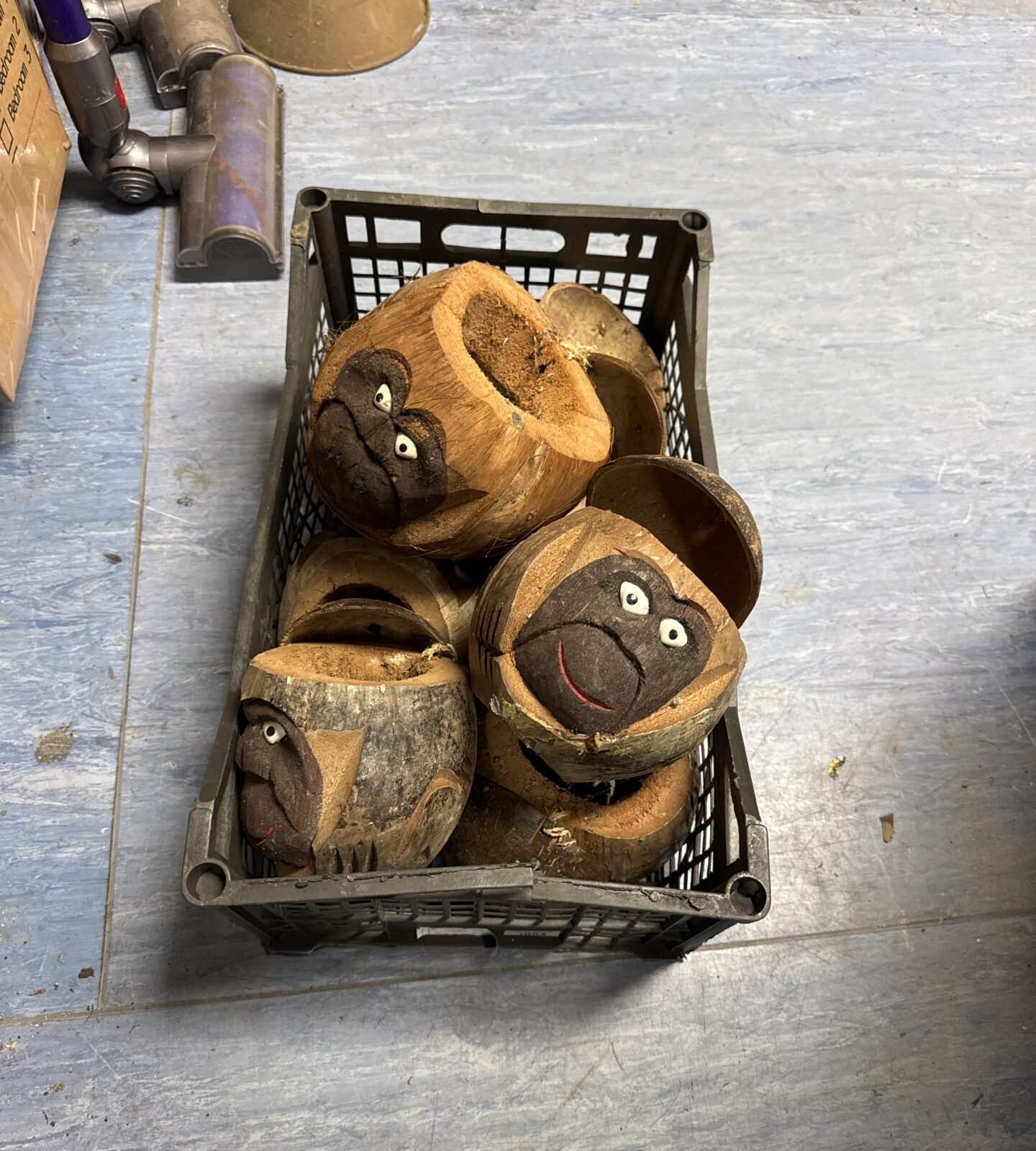 Box of coconut heads from a tiki bar