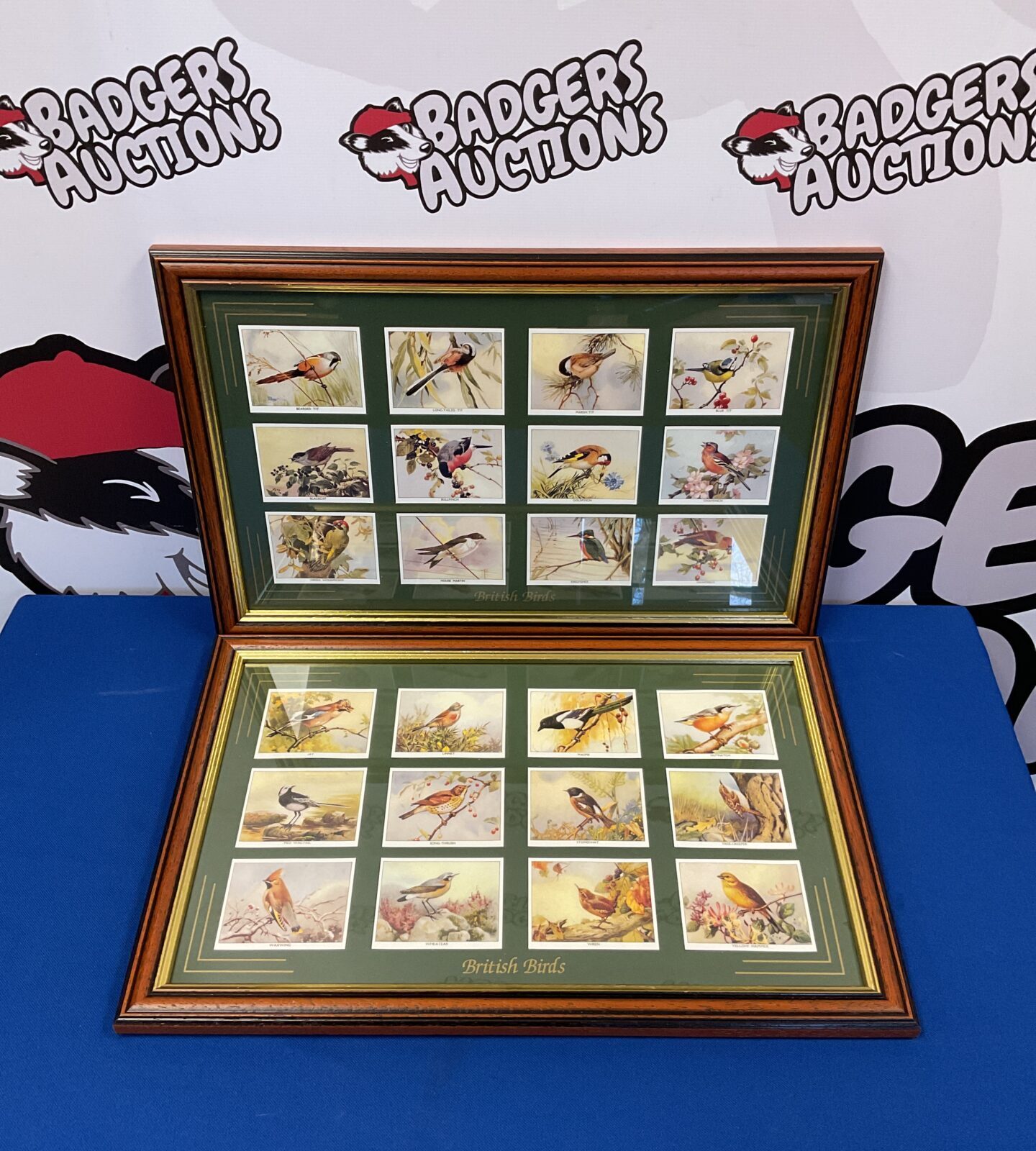 Two sets of framed birds of britain collectors cards