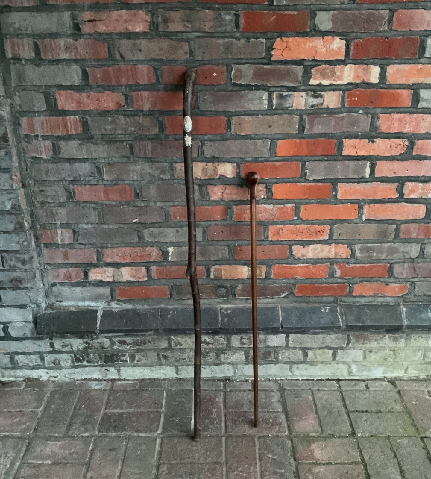 Two vintage walking sticks including one with travel plaques