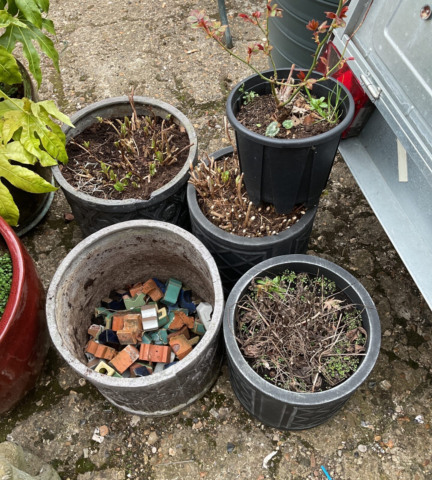 Five large pladtic plant pots & terracotta pot feet