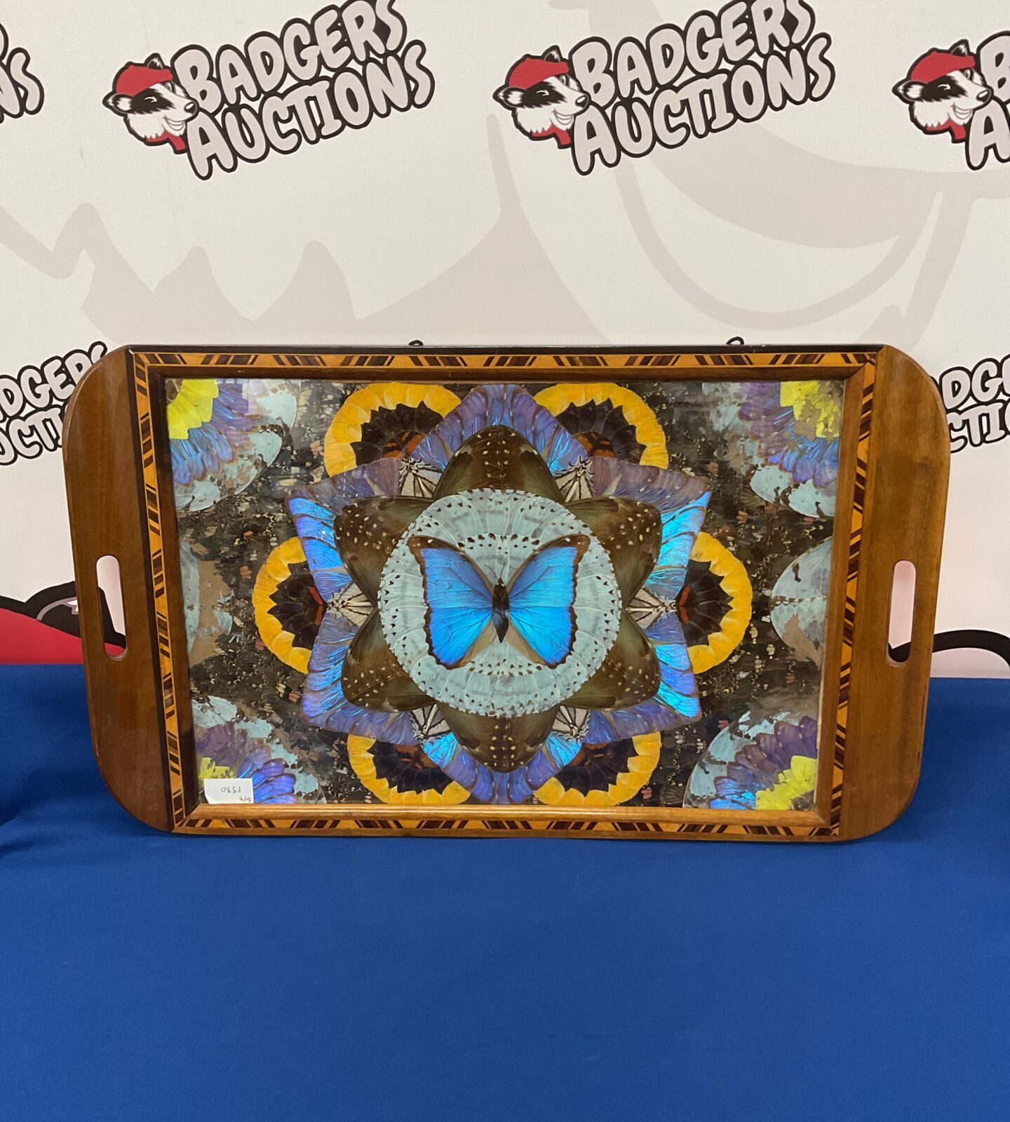 Vintage taxidermy butterfly Parquetry wood tray