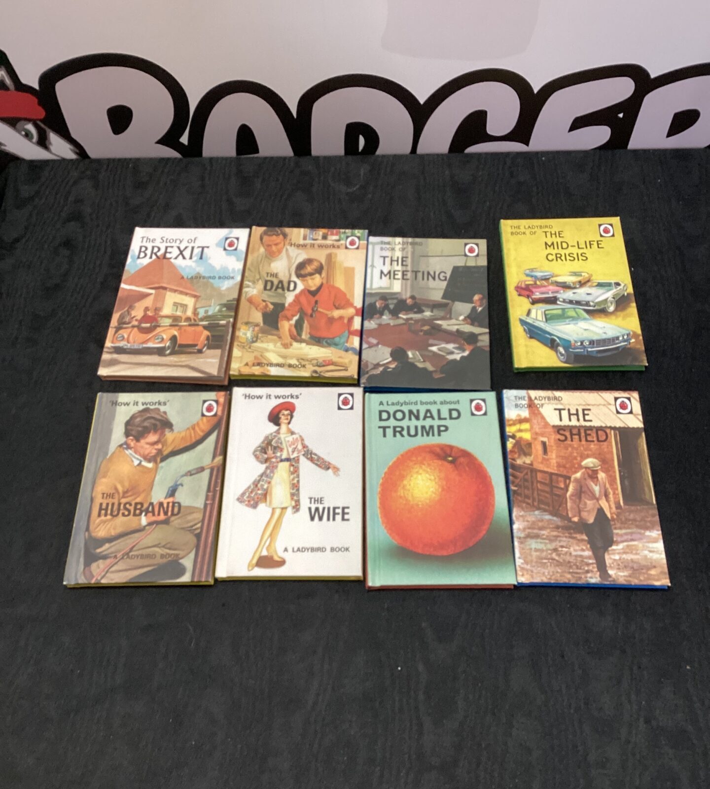The ladybird books about life inc the dad, the wife & the shed