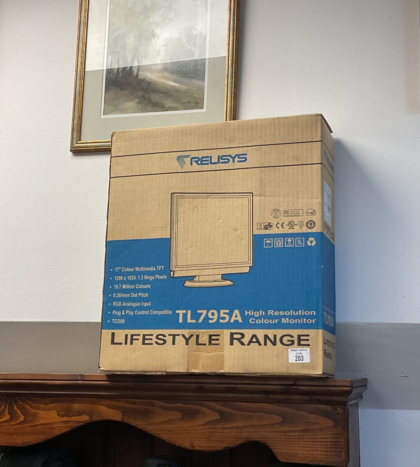Relisys tl795a lifestyle range monitor